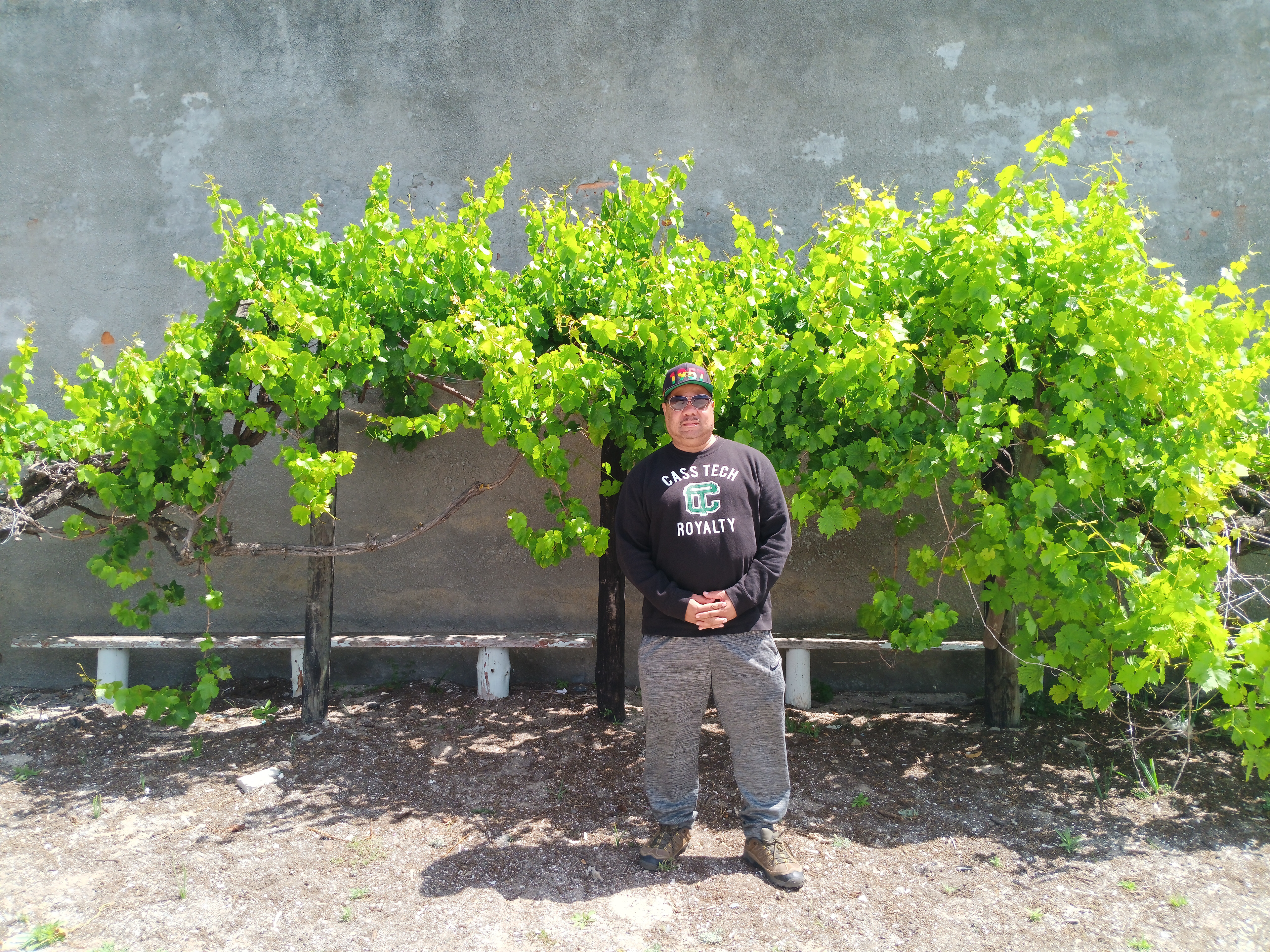 Where Mandela Wrote Long Walk to Freedom