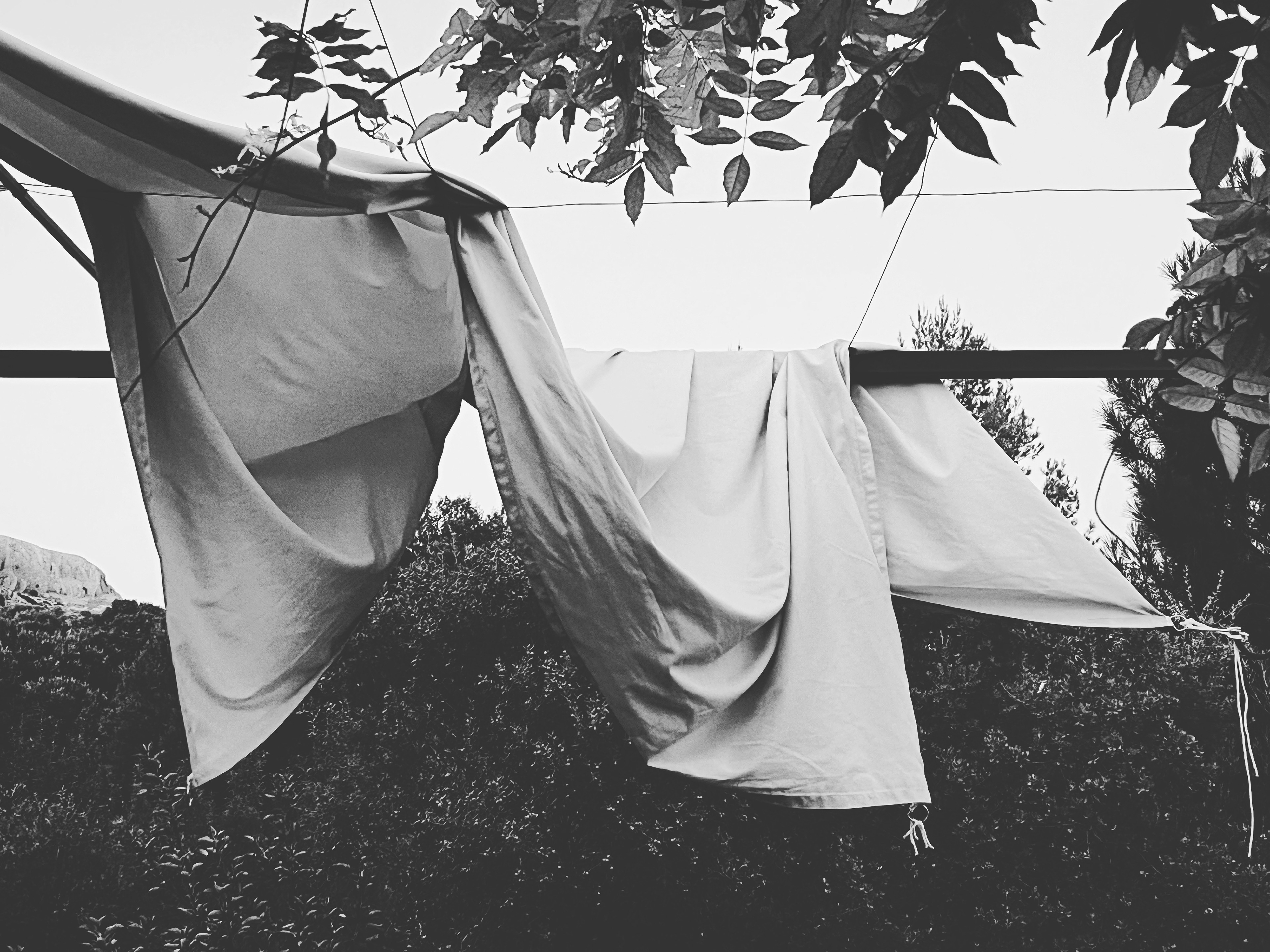 Prado Negro, Granada, Spain