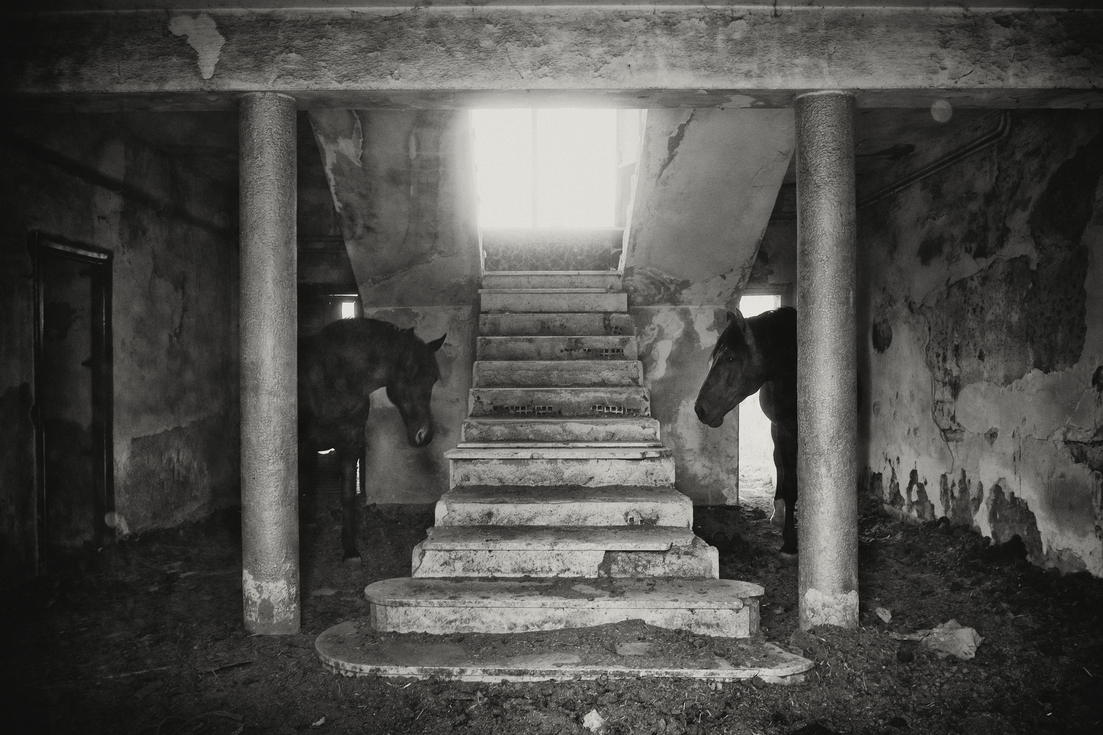 Prado Negro, Granada, Spain