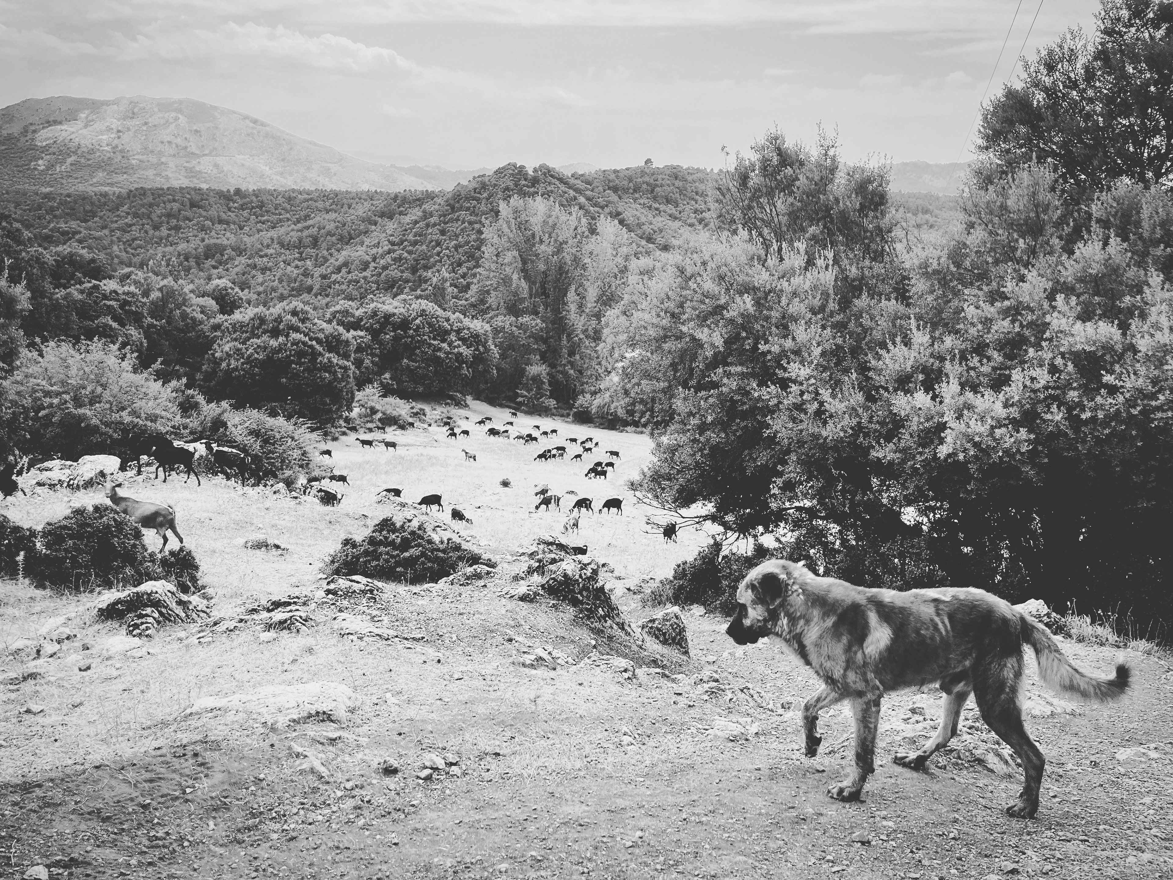 Prado Negro, Granada, Spain
