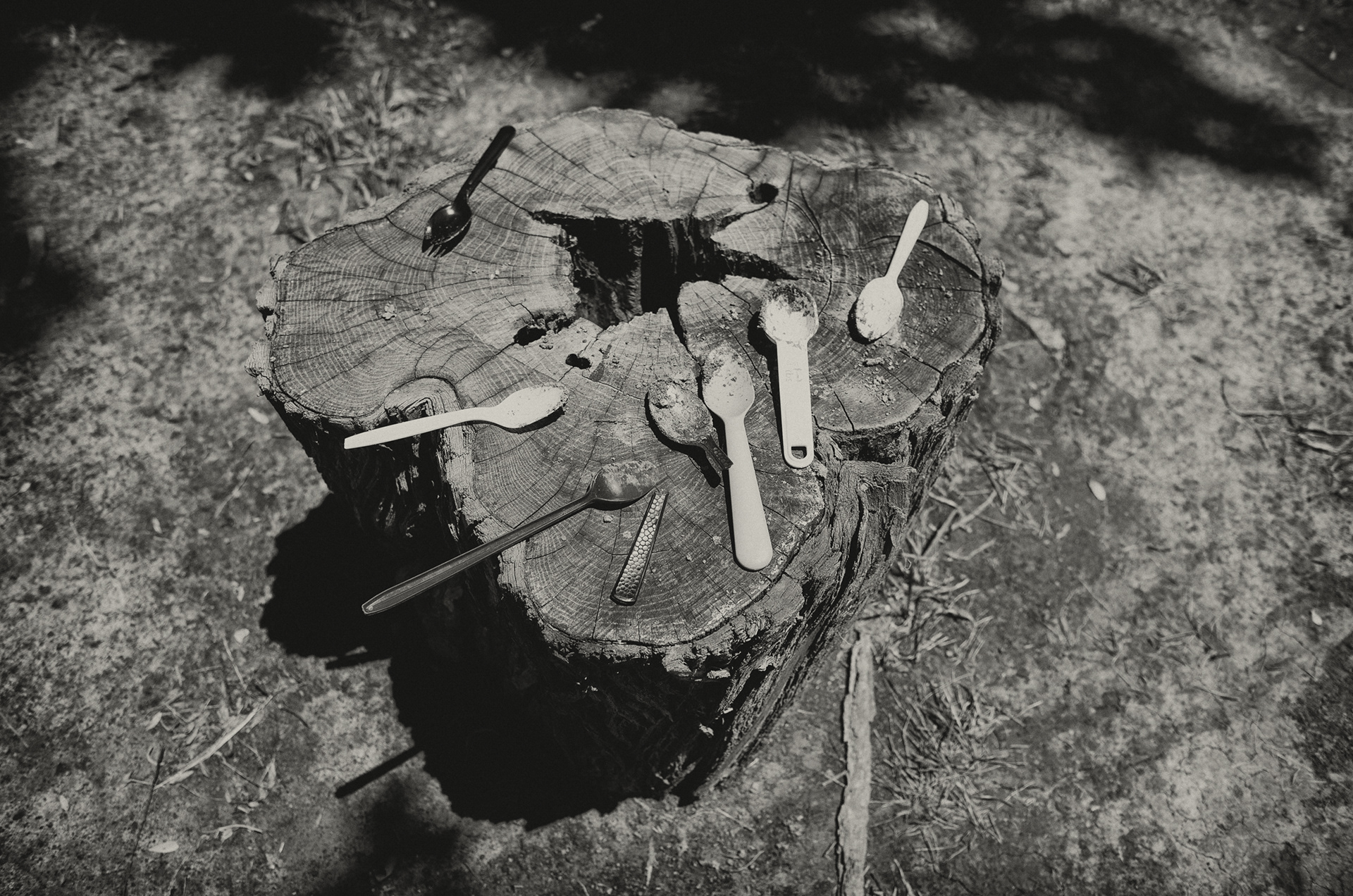 Sister Wilhelmina Gravesite, Gower, MO