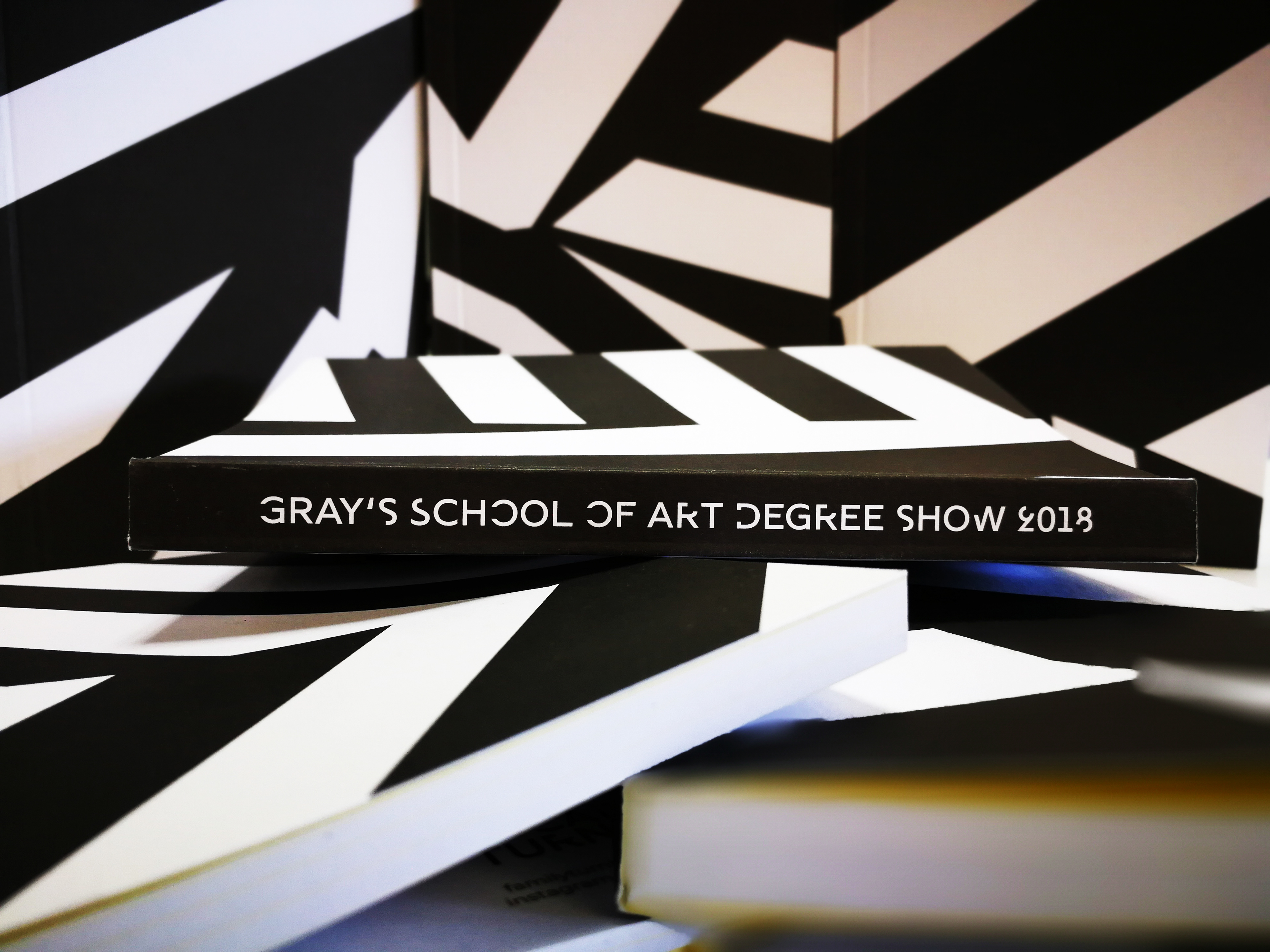 Degree Show Catalogue Various Covers