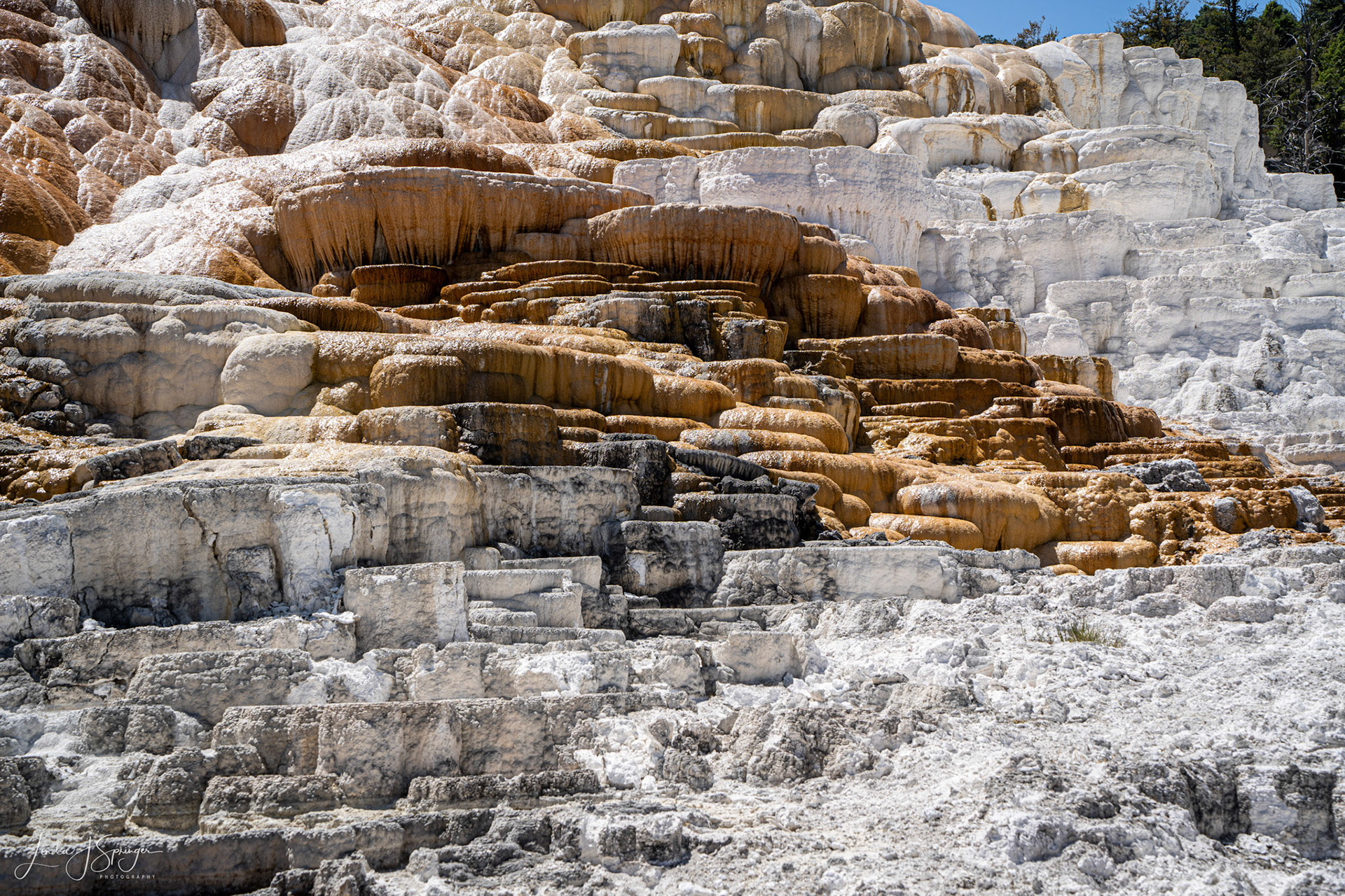 Mammoth Hot Springs