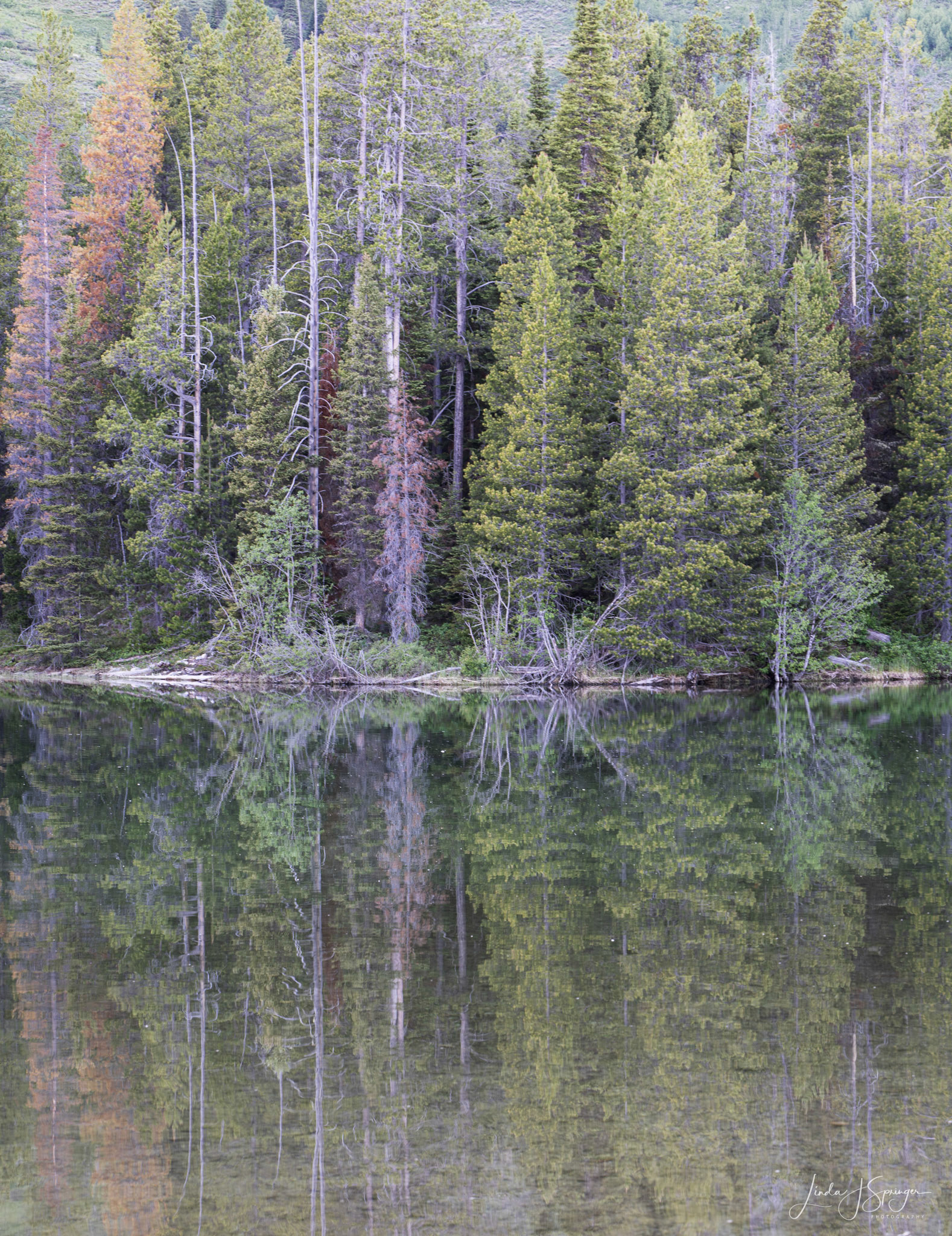Reflections on String Lake