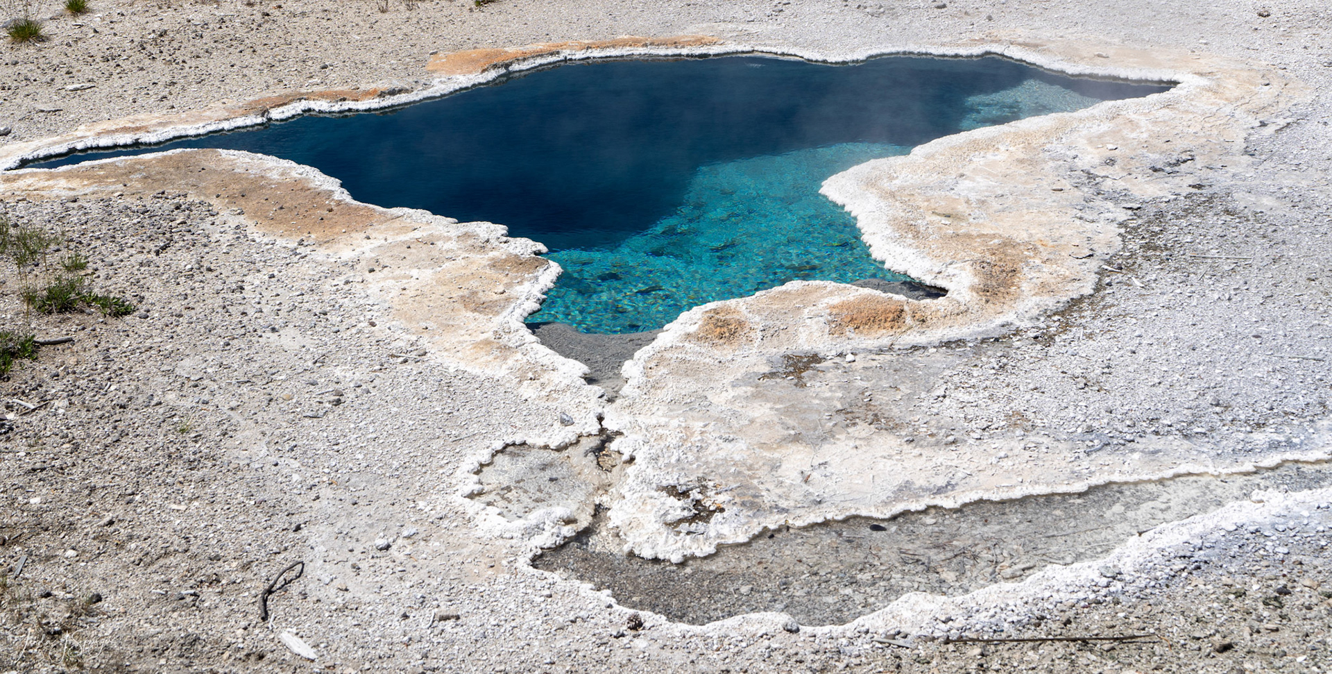 Blue Star Spring, Upper Geyser Basin