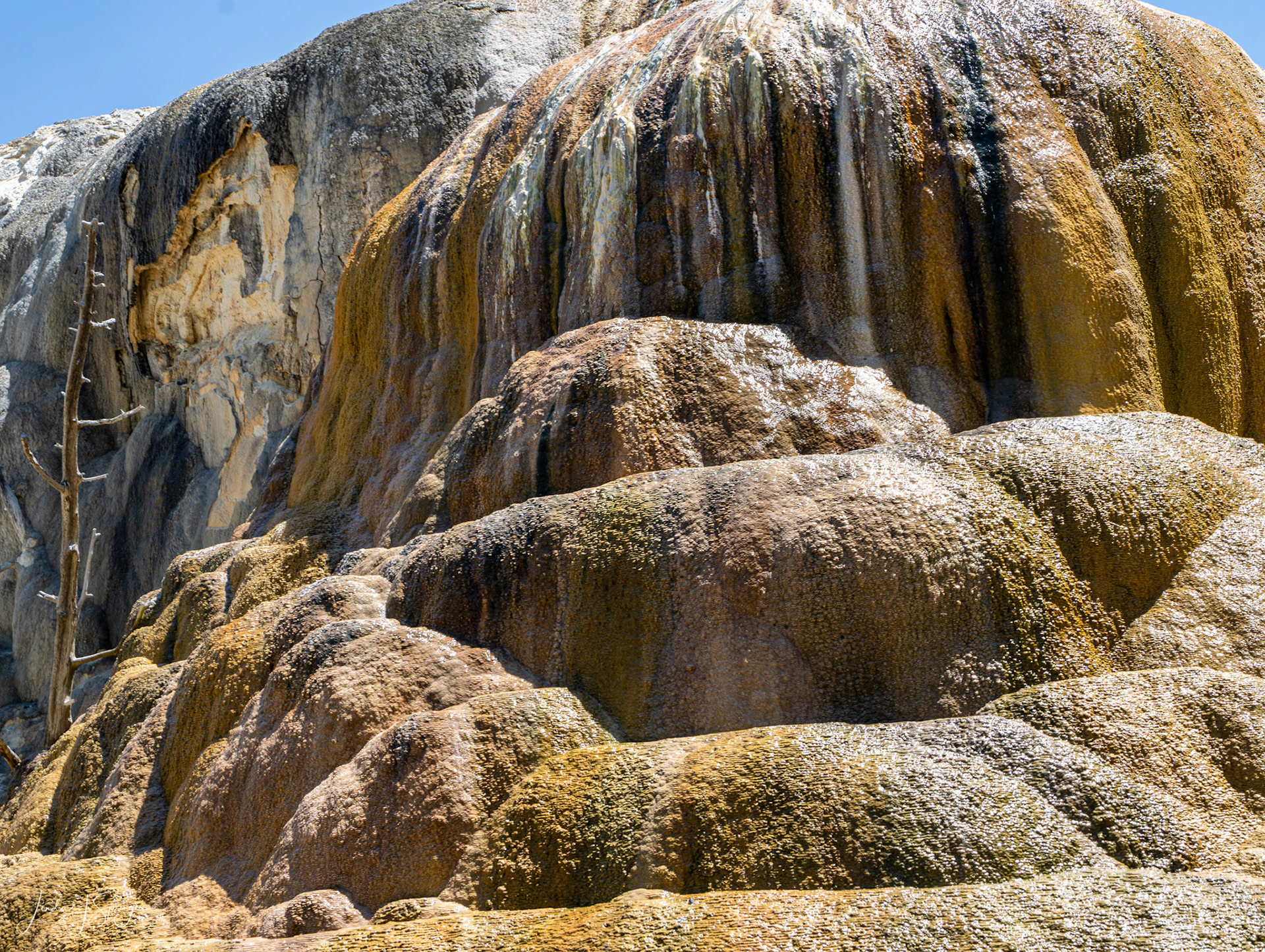 Mammoth Hot Springs