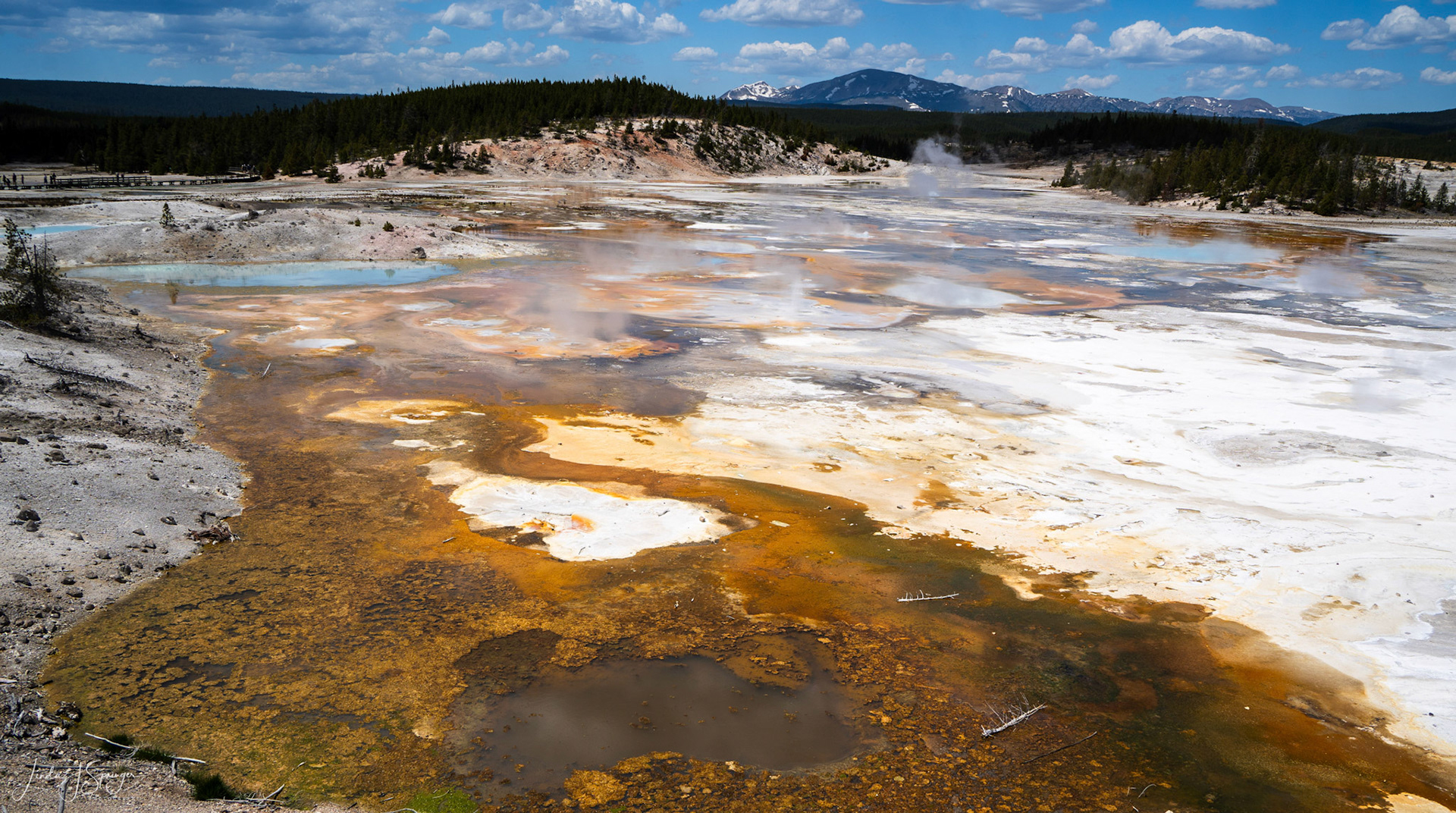 Norris Geyser Basin