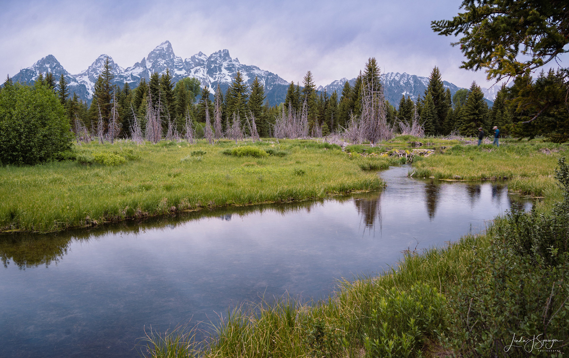 Schwabacher Landing