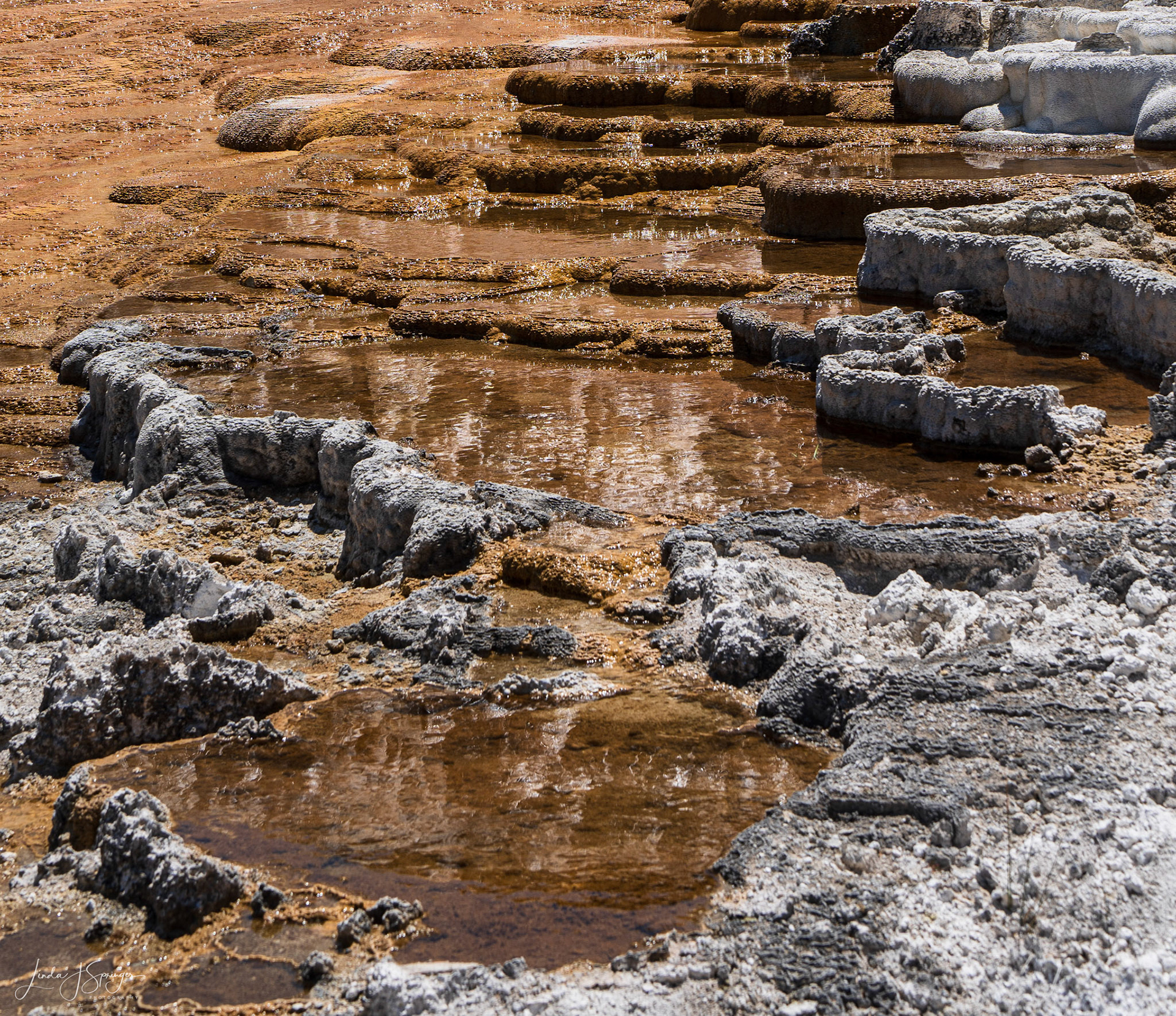 Mammoth Hot Springs