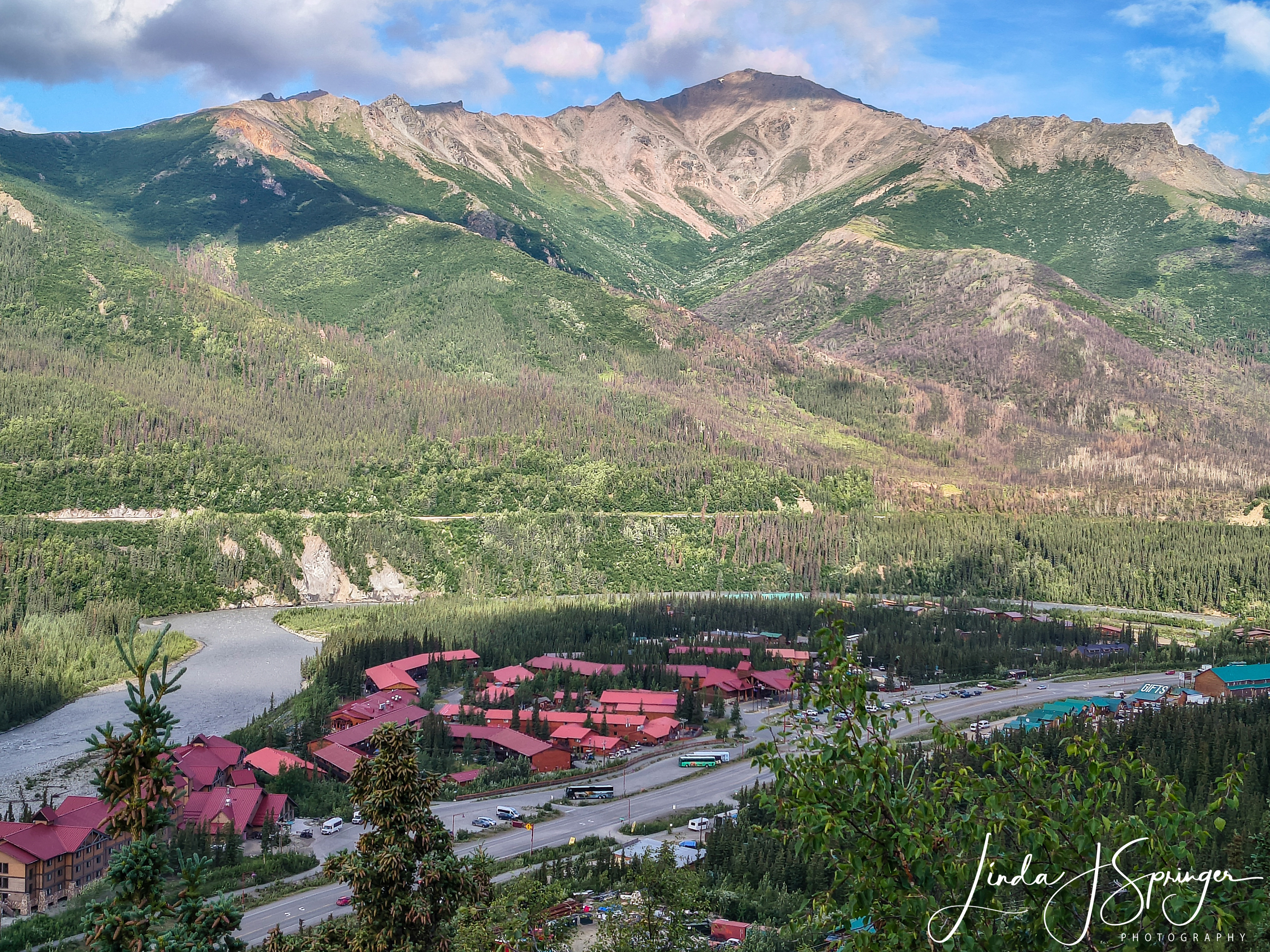 View of the town of Denali from our Lodge