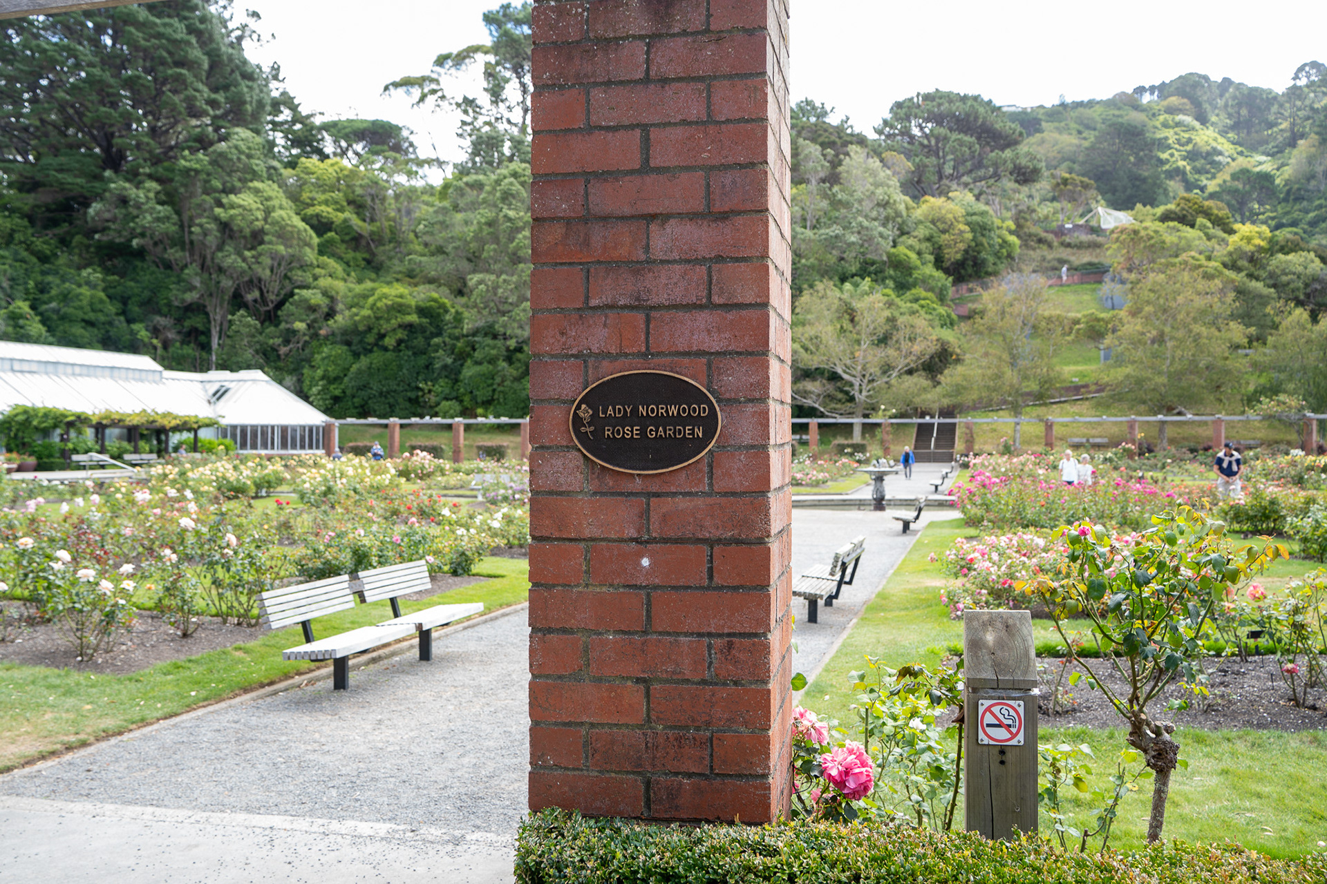 Lady Norwood Rose Garden