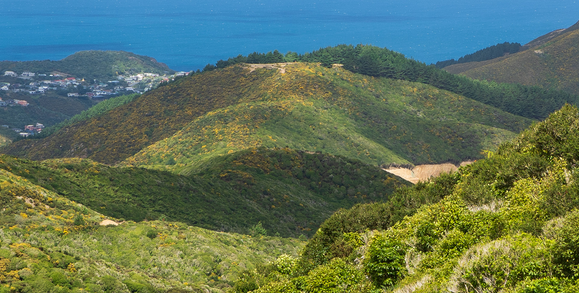 View from Brooklyn Wind Turbine