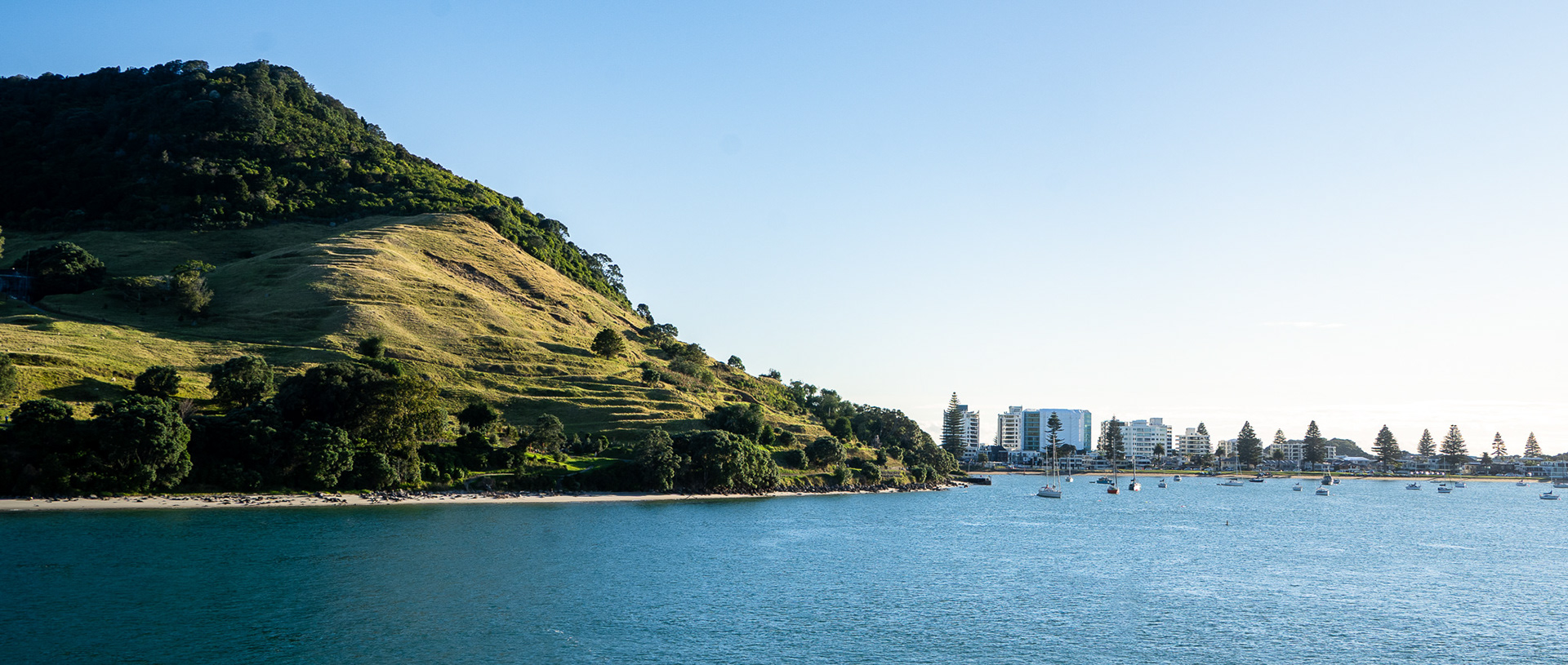 Arriving in Tauranga port