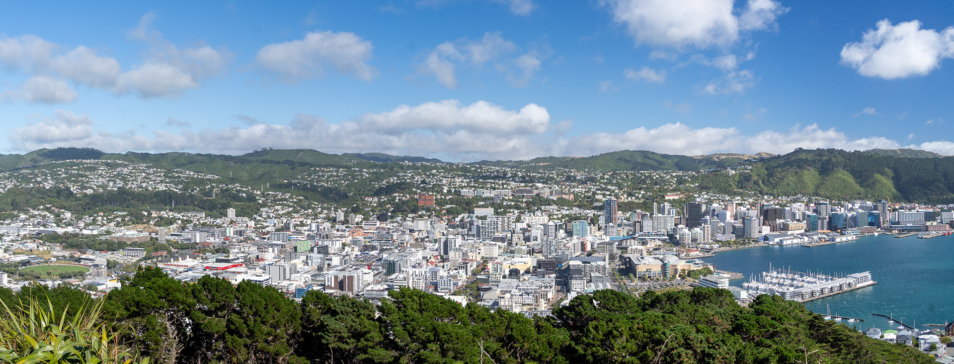 View of Wellington from Mt Victoria Lookout