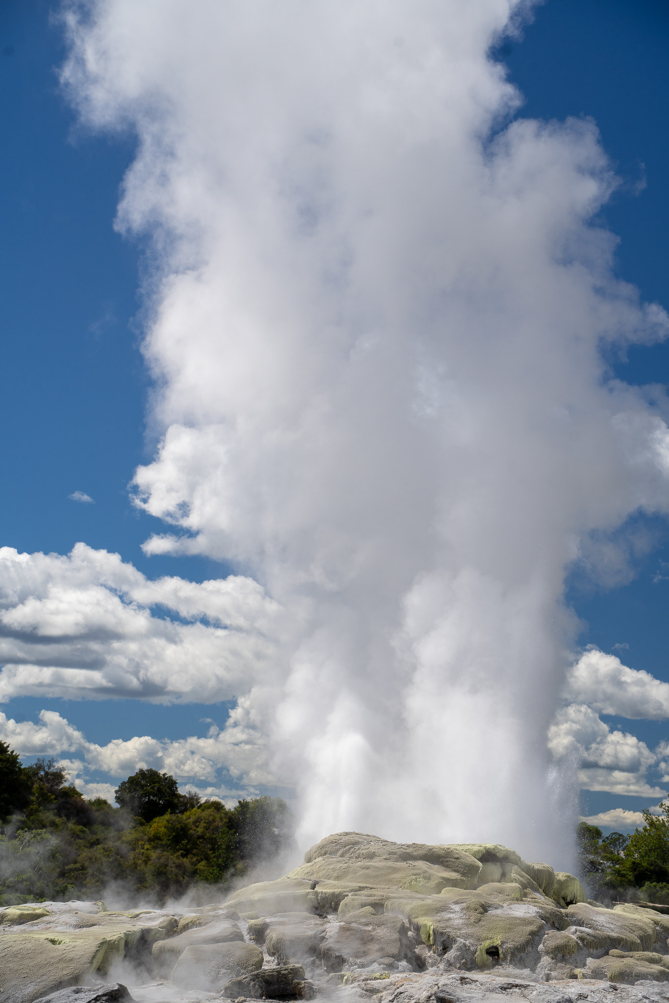Pohutu Geyser