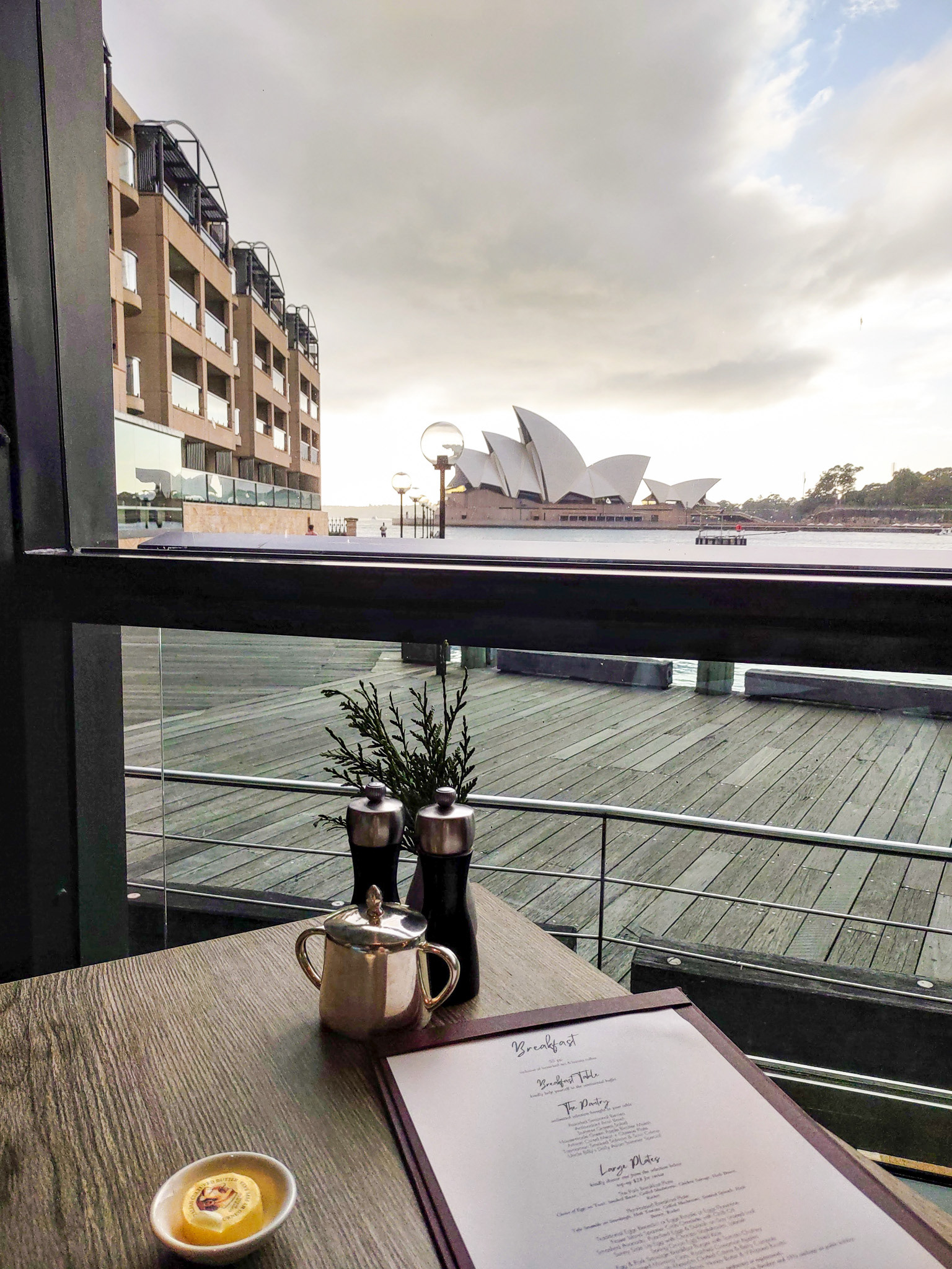 View from dining room in Park Hyatt Hotel