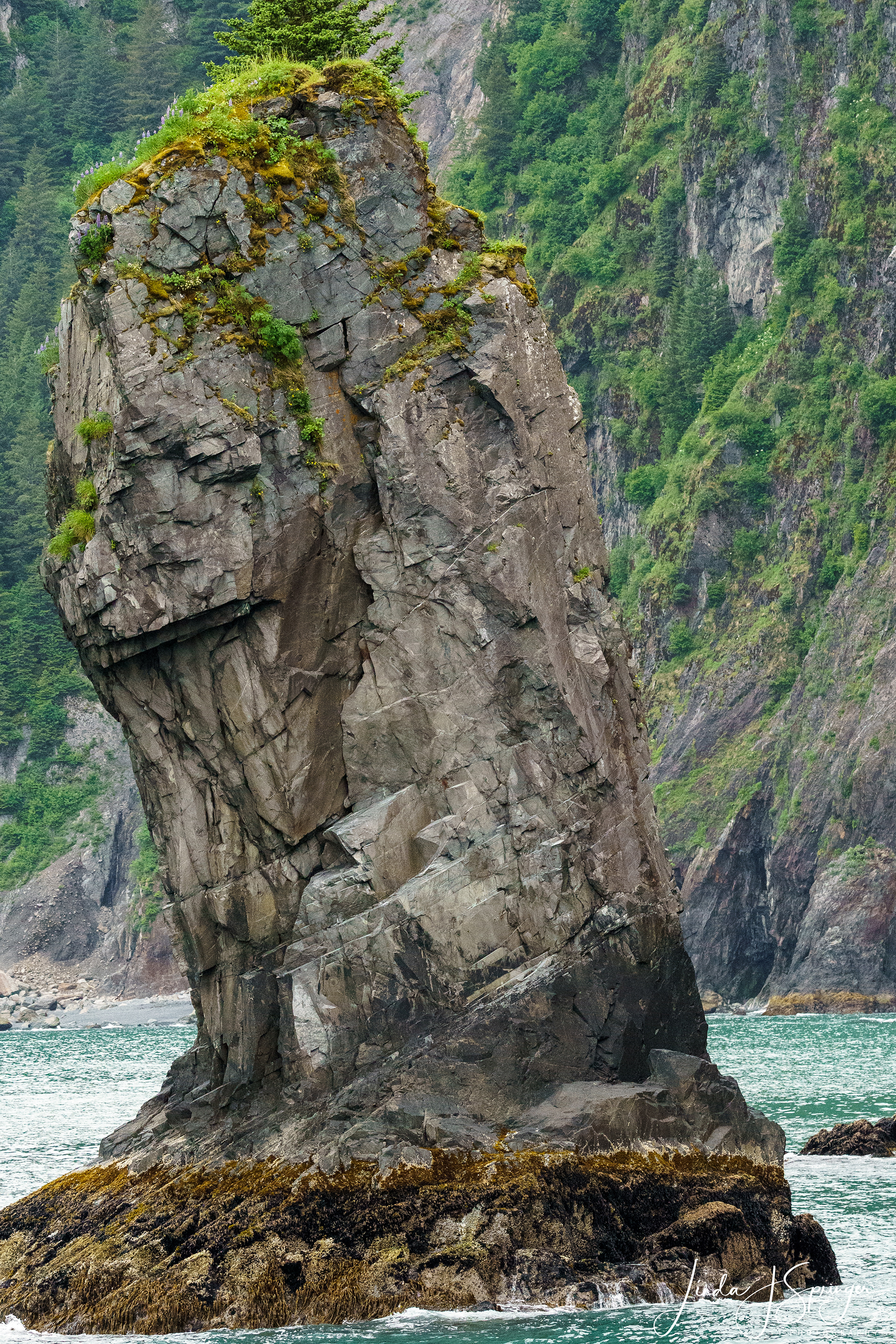 Spire Cove
