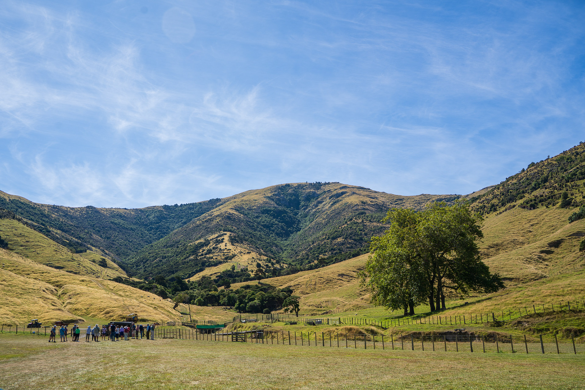 Manderley Sheep Farm