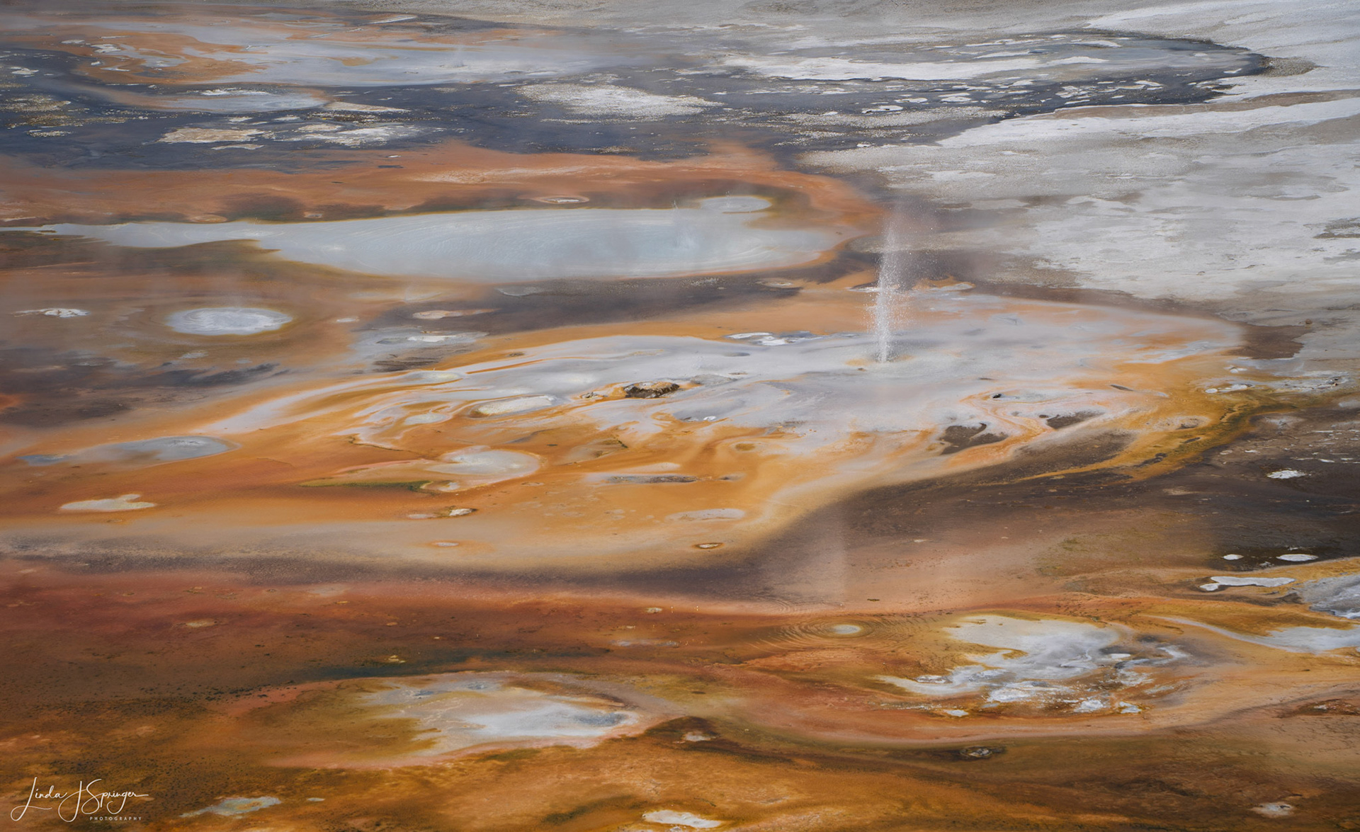 Norris Geyser Basin
