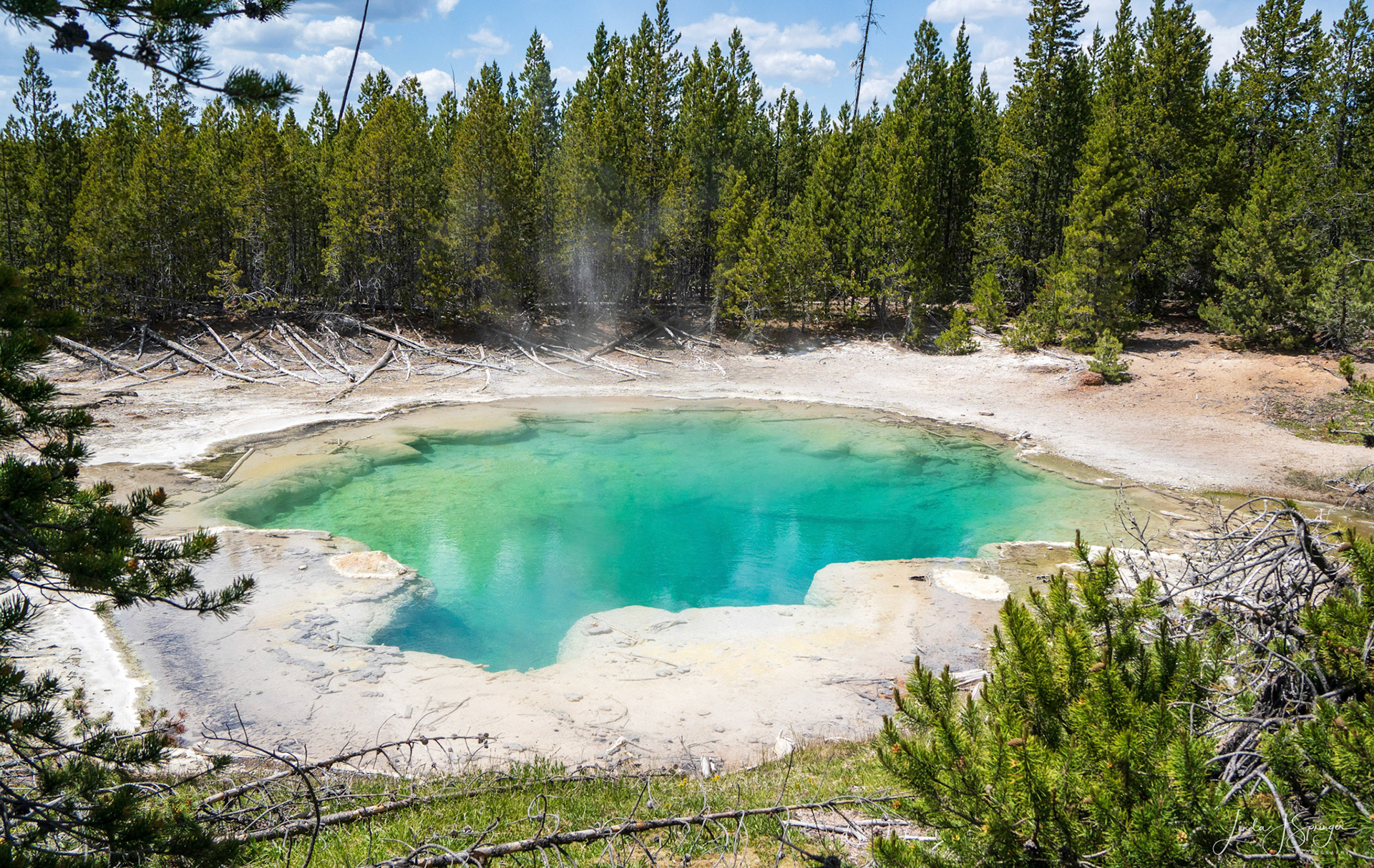 Emerald Spring, Norris Geyser Basin