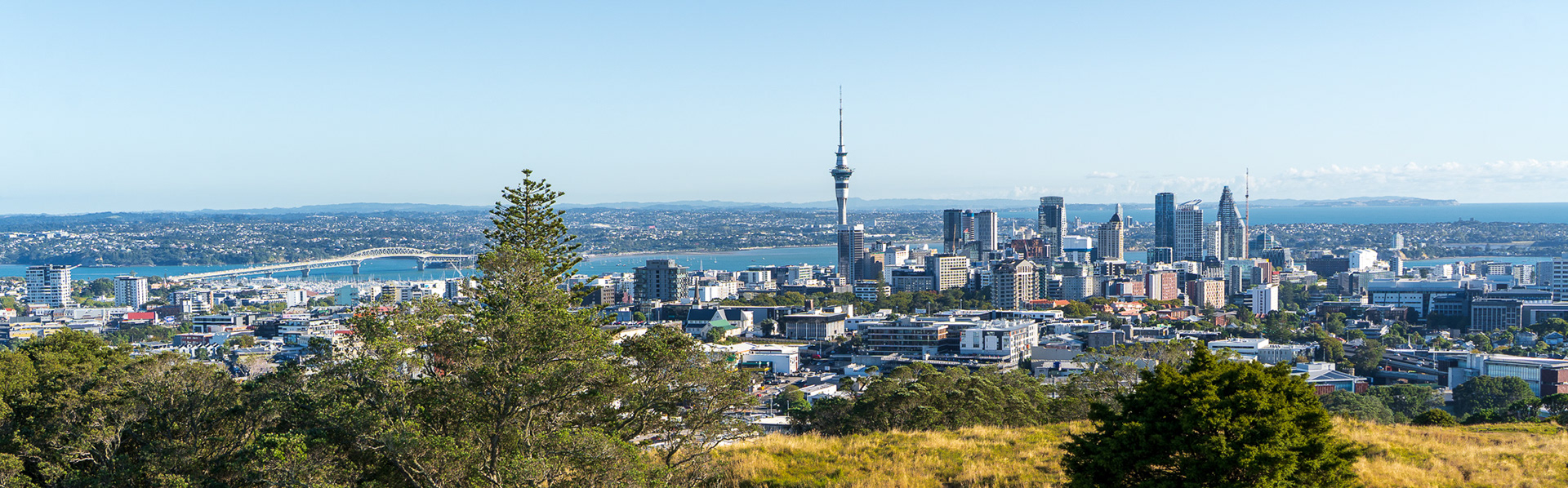 Panoramic View of Auckland from Mt Eden
