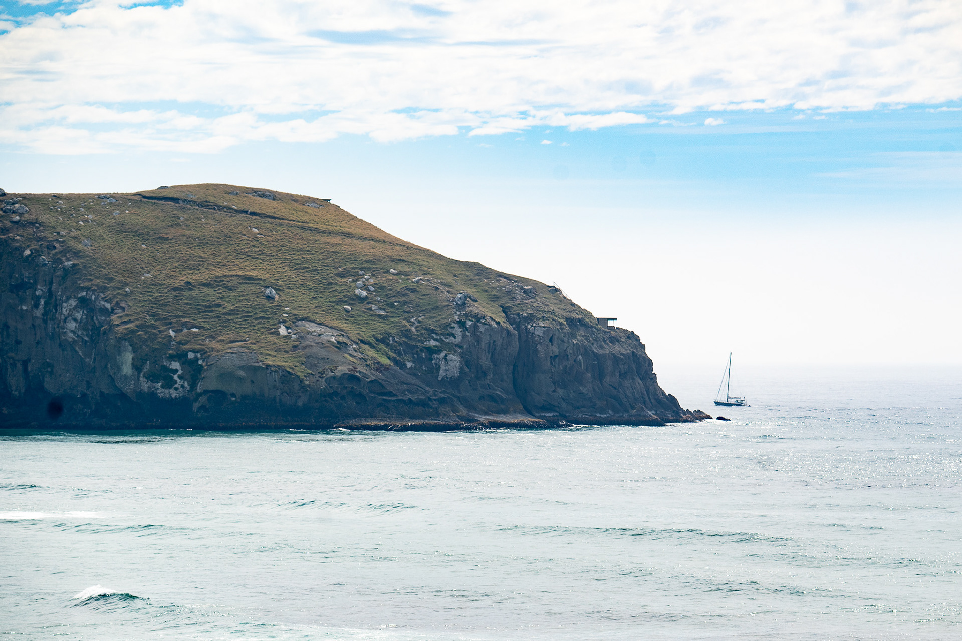 Otago Peninsula