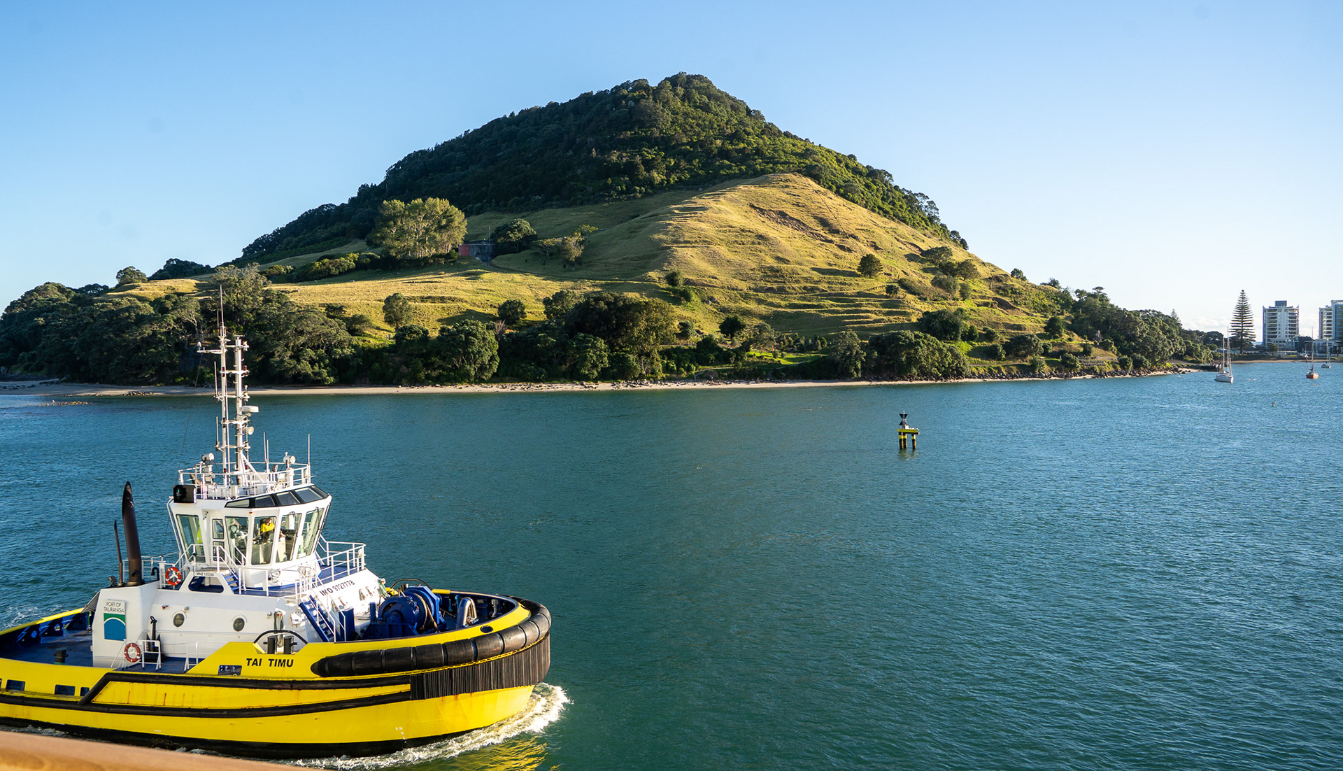 Arriving in Tauranga port