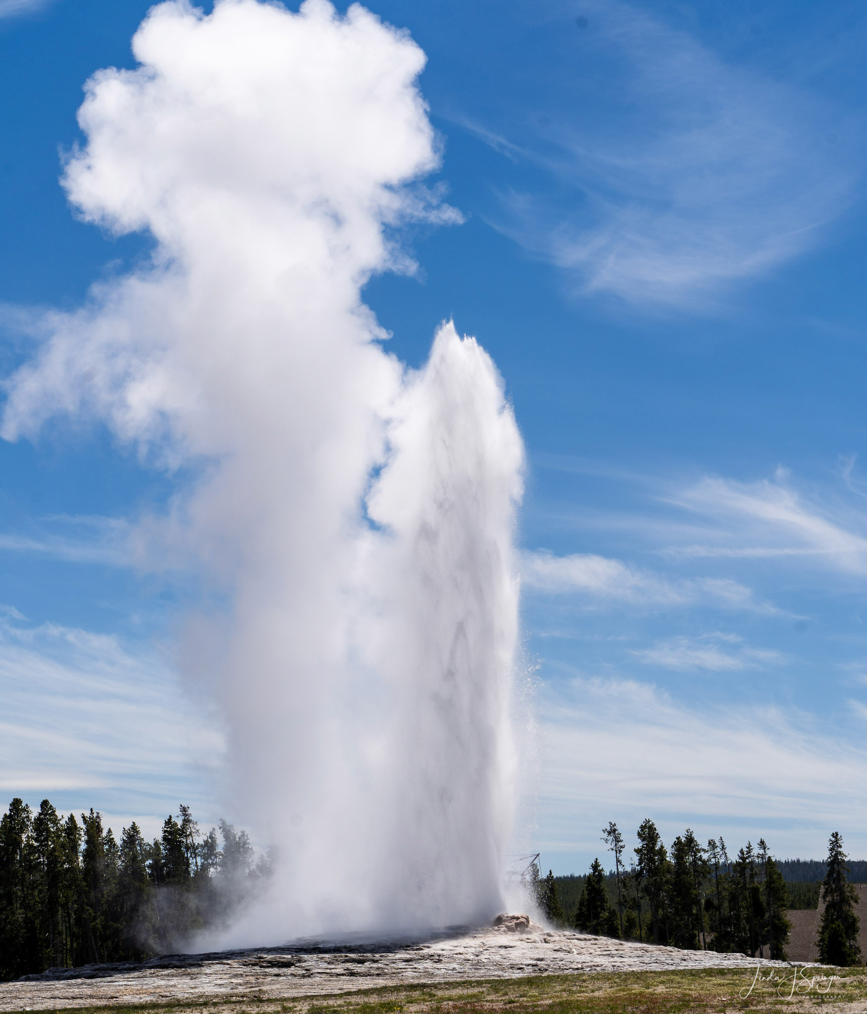 Old Faithful - June 20, 2024 2:22 pm