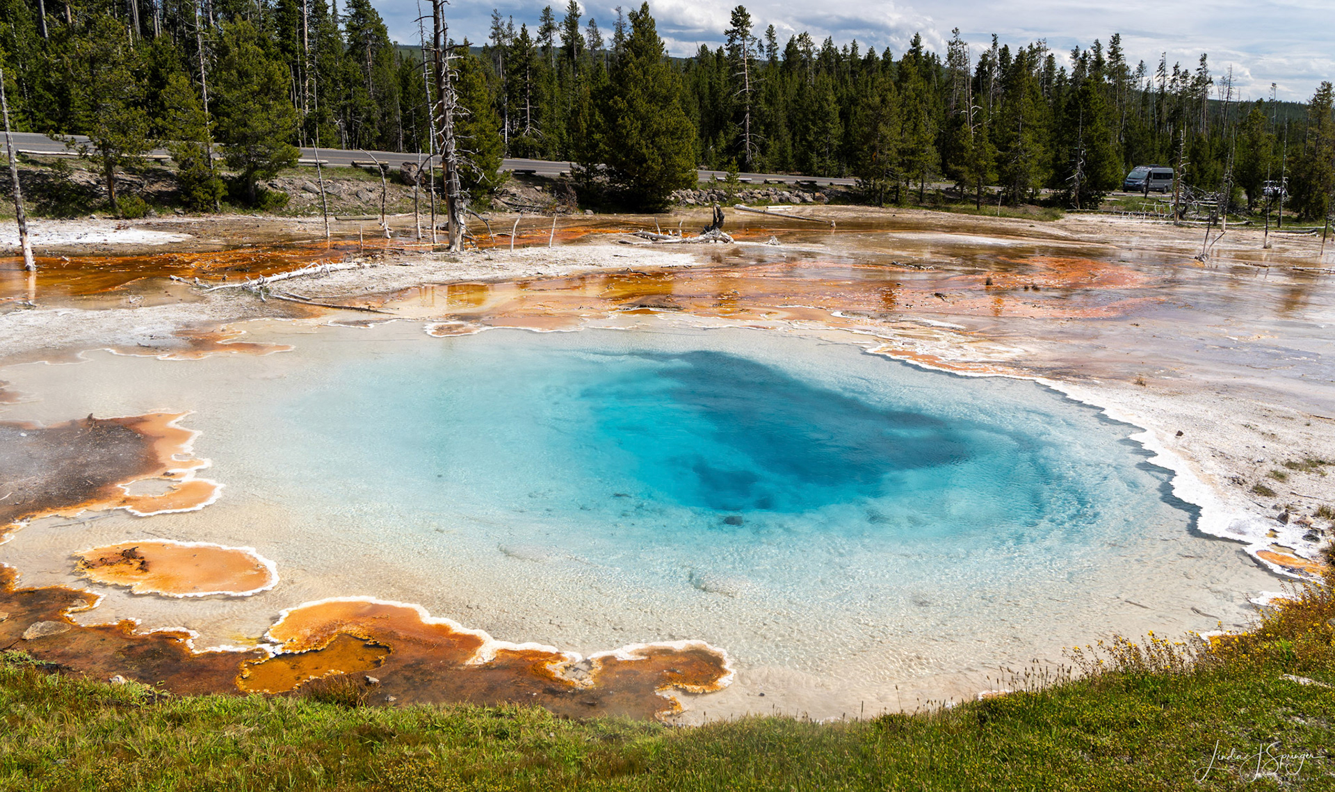 Upper Geyser Basin