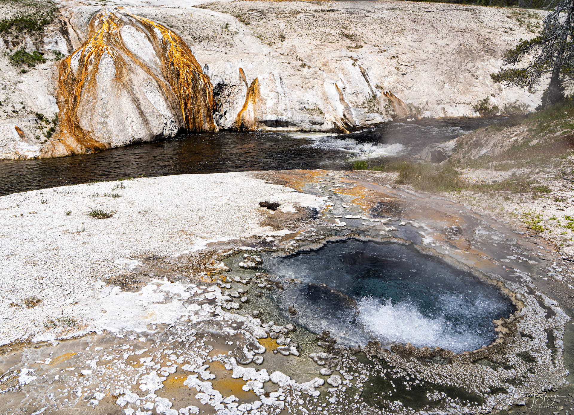 Upper Geyser Basin
