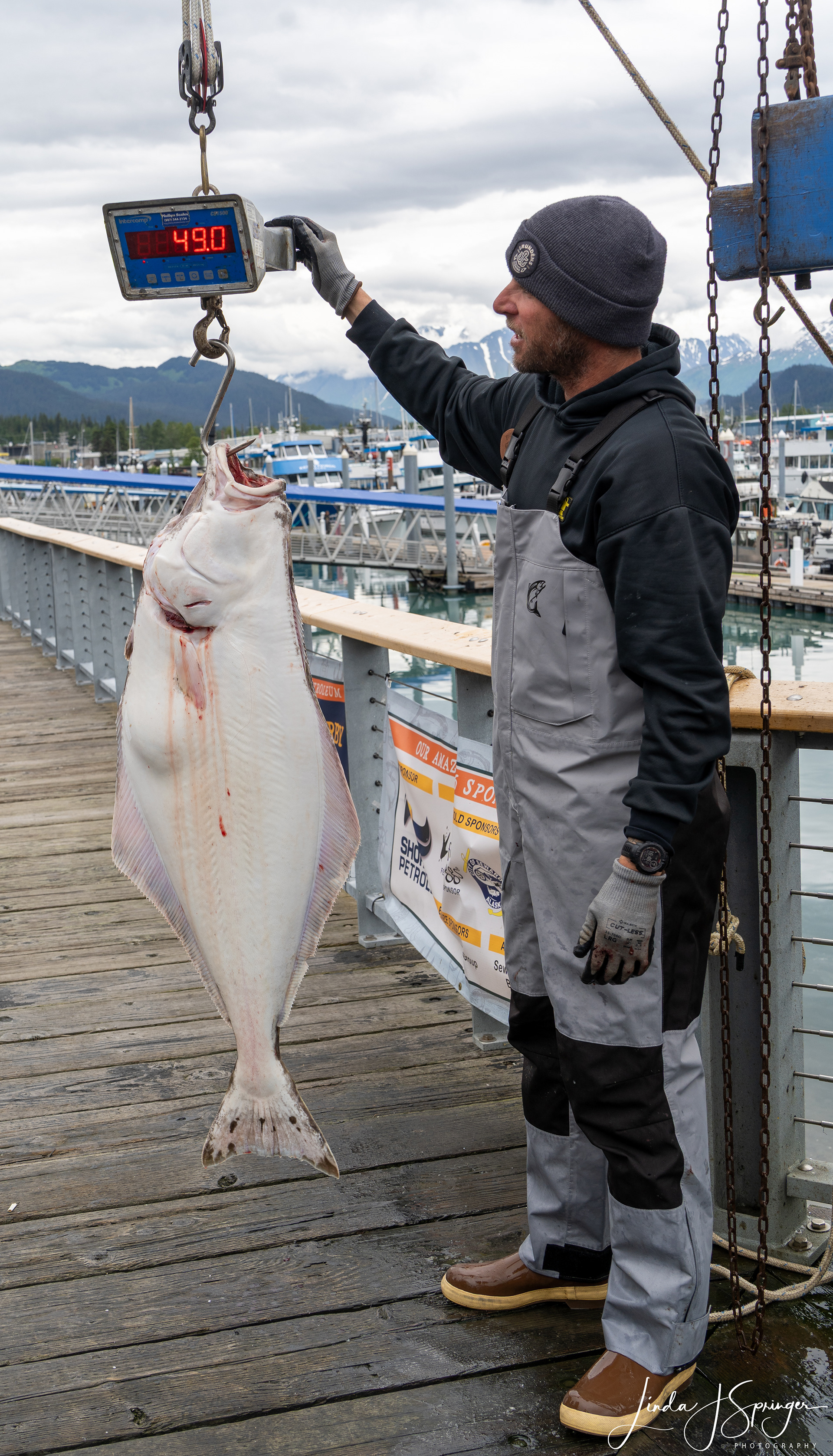 Weighing his catch of Halibut
