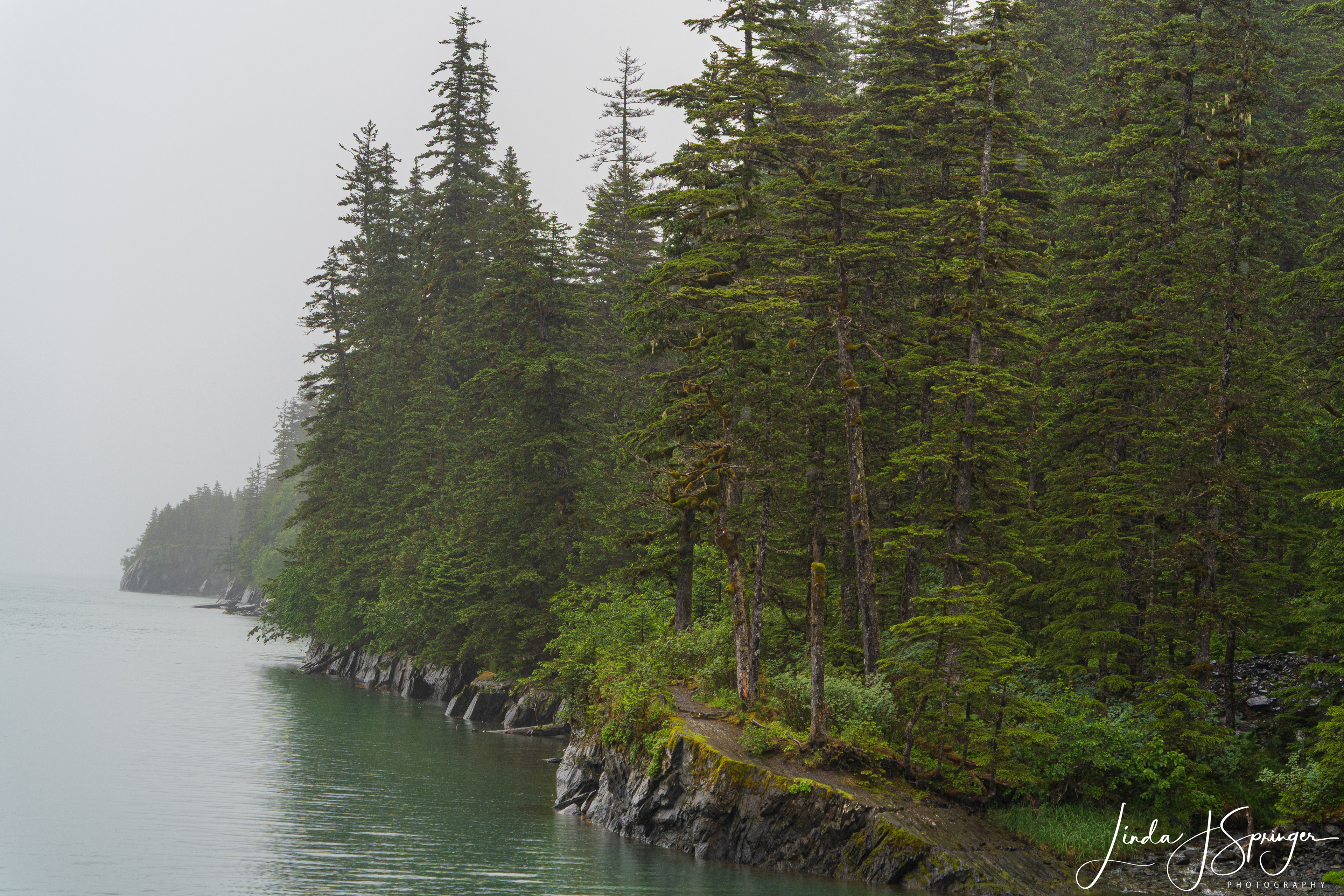 Rainy day near Whittier