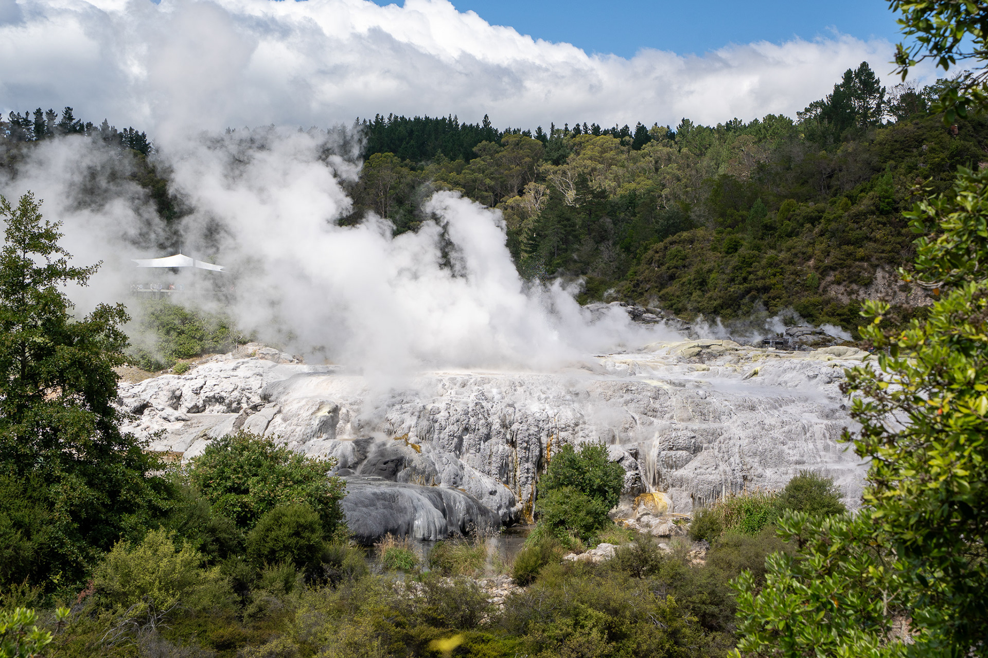 Pohutu Geyser