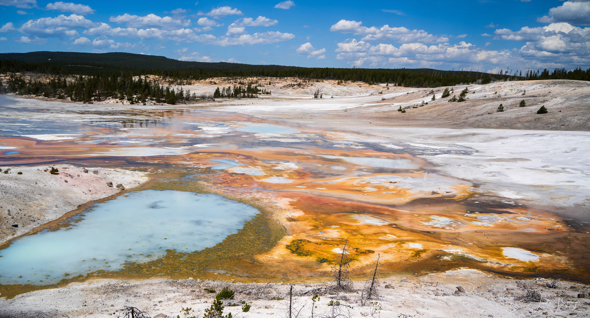 Norris Geyser Basin