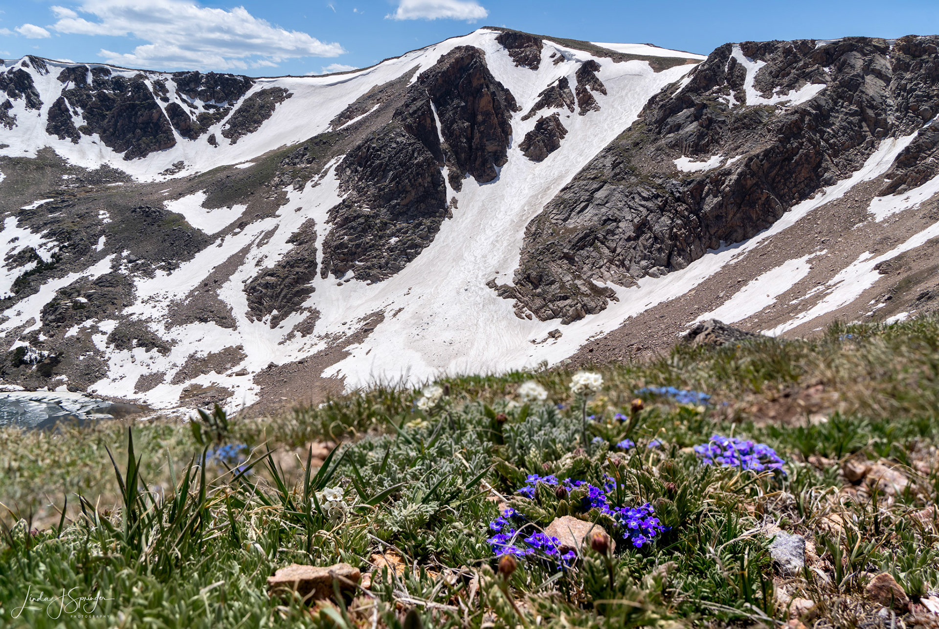 Beartooth Pass Vista