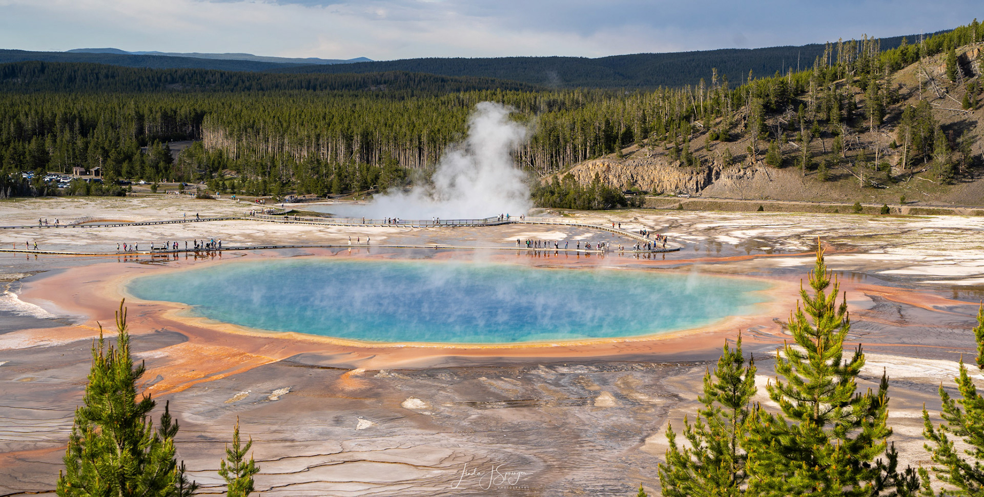 Grand Prismatic Spring from the Overlook