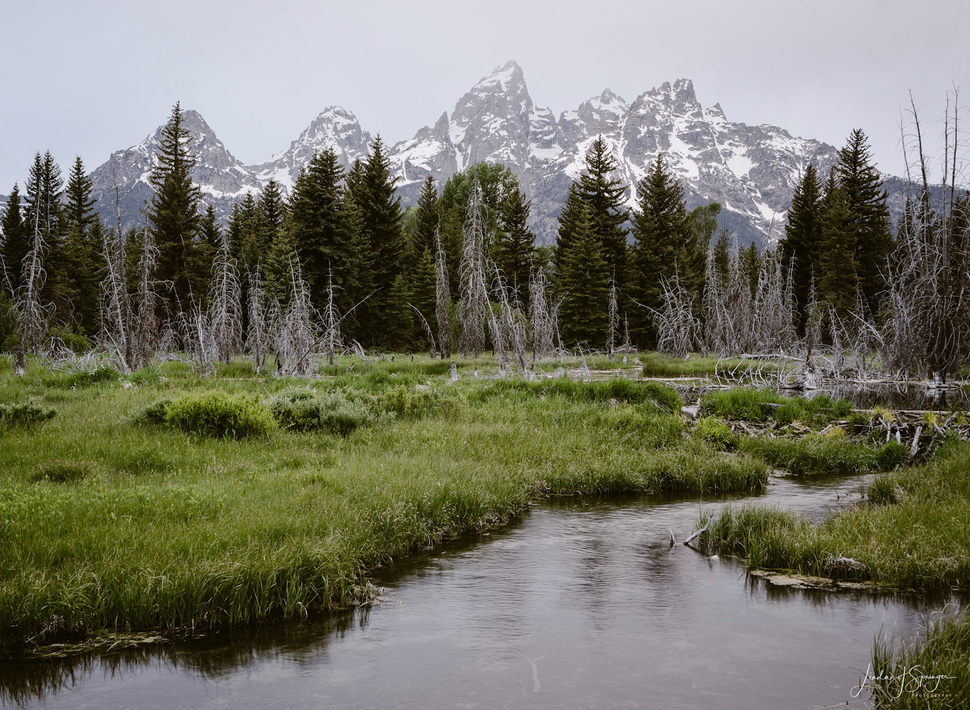 Schwabacher Landing