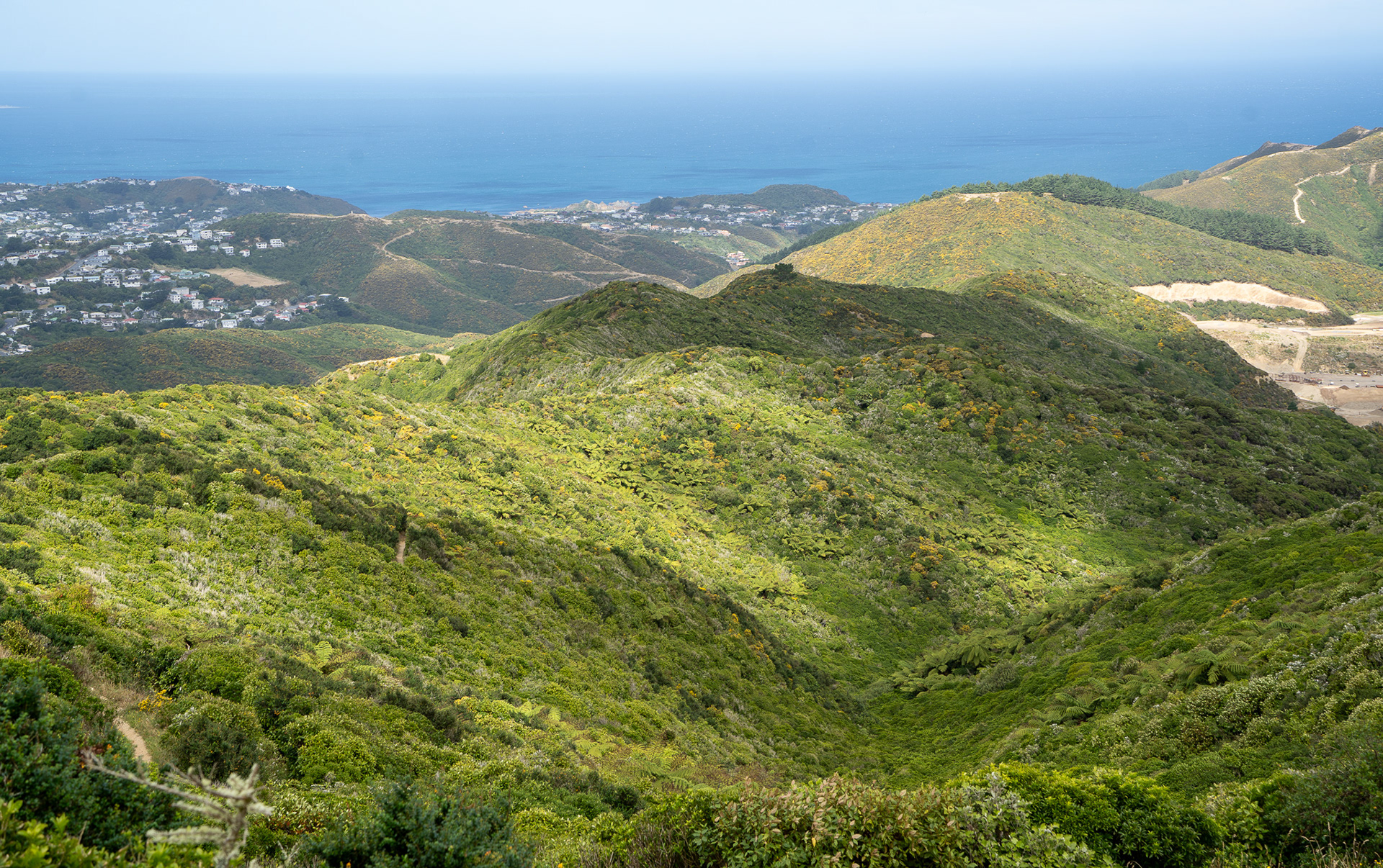 View from Brooklyn Wind Turbine