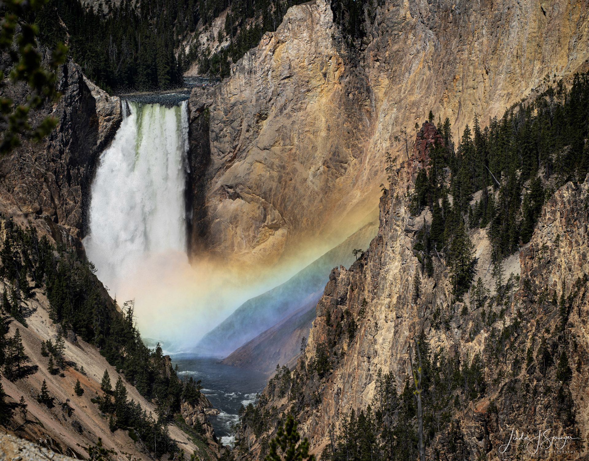 Rainbow at the Lower Falls