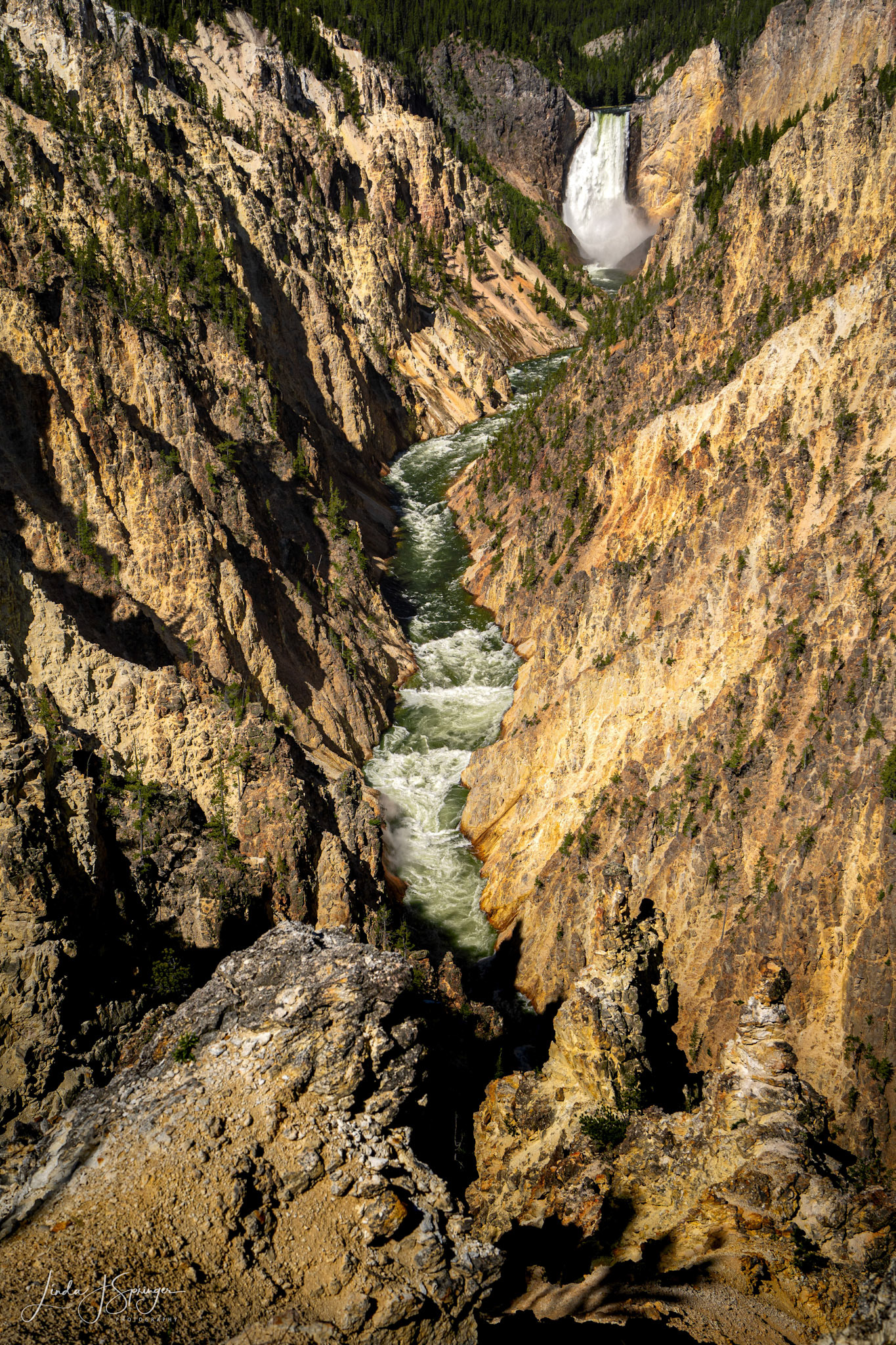 Lower Falls in the Grand Canyon of the Yellowstone River from Artist's Point