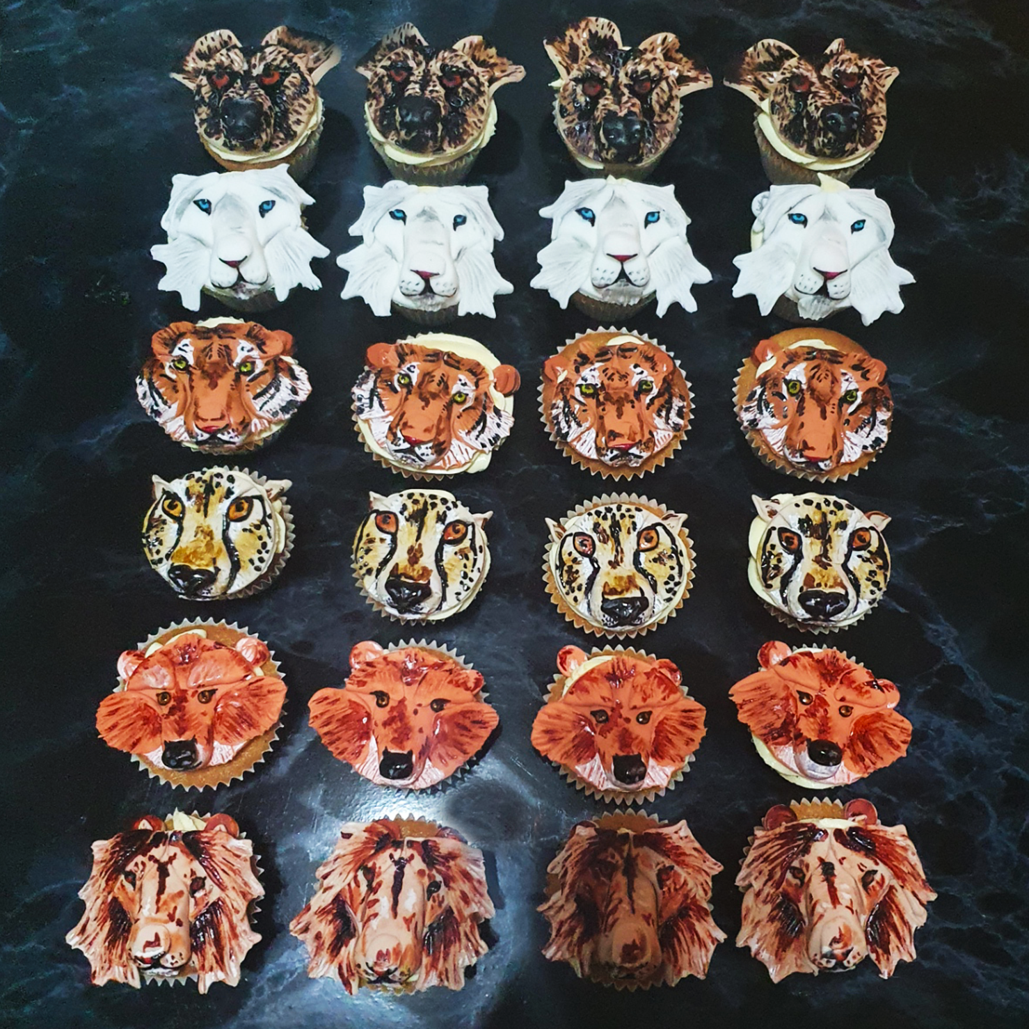 Safari Park Carnivore Event Cupcakes