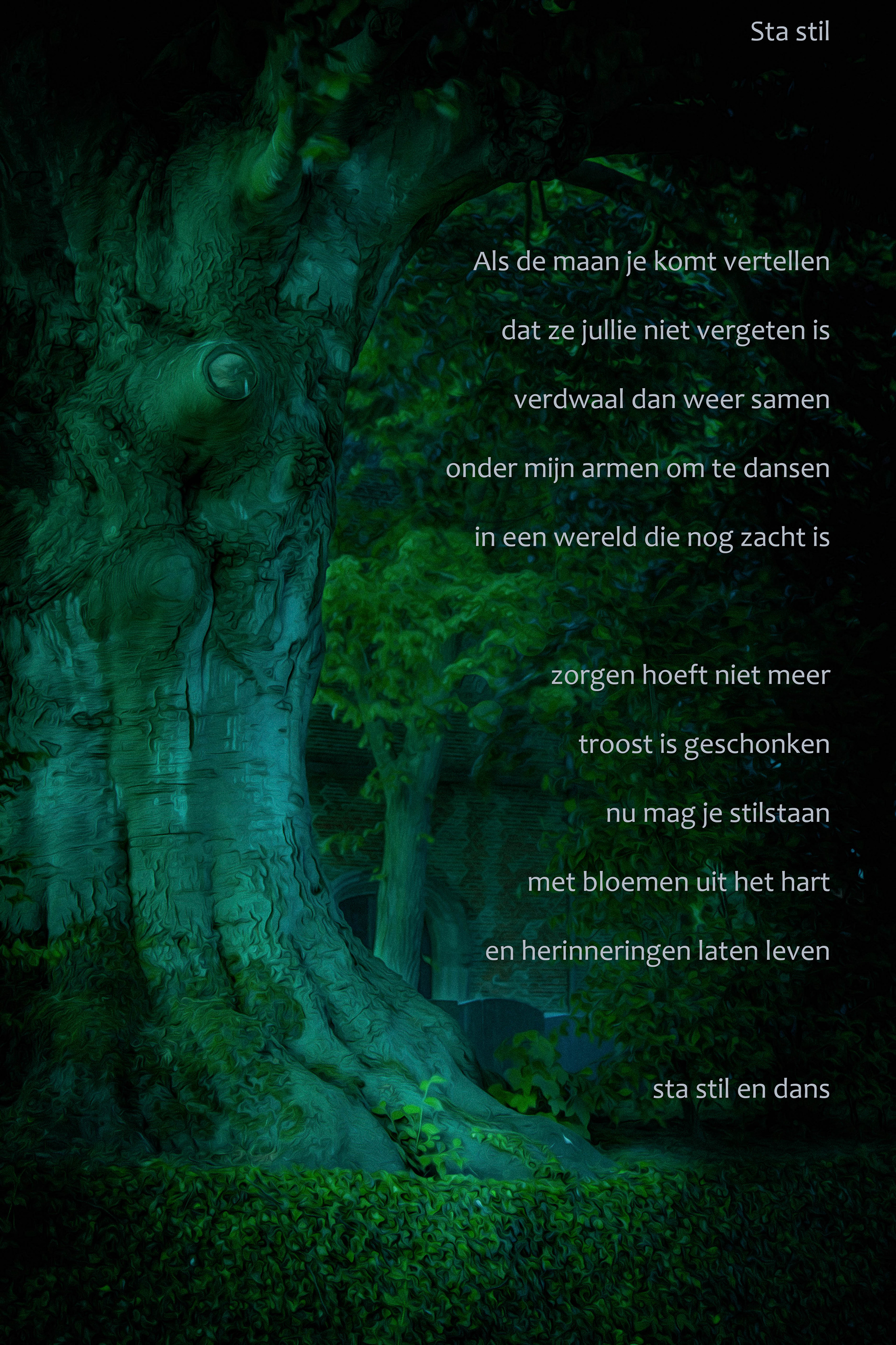 Project "Nachtbomen"