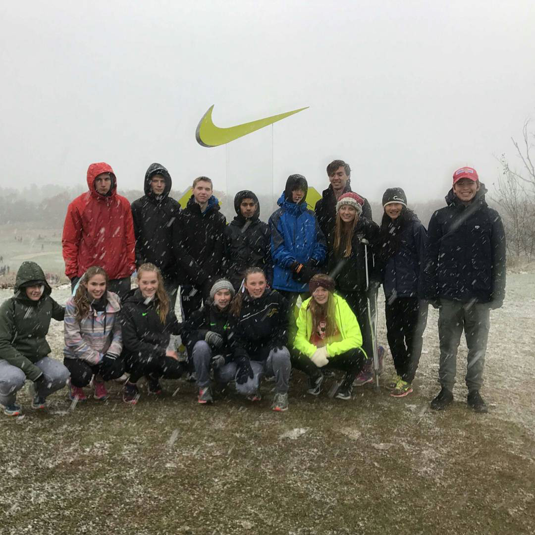 OFSAA 2017