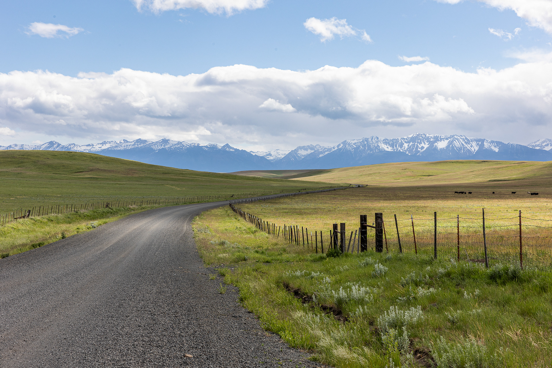 Zumwalt Prairie, Hells Canyon National Recreation Area