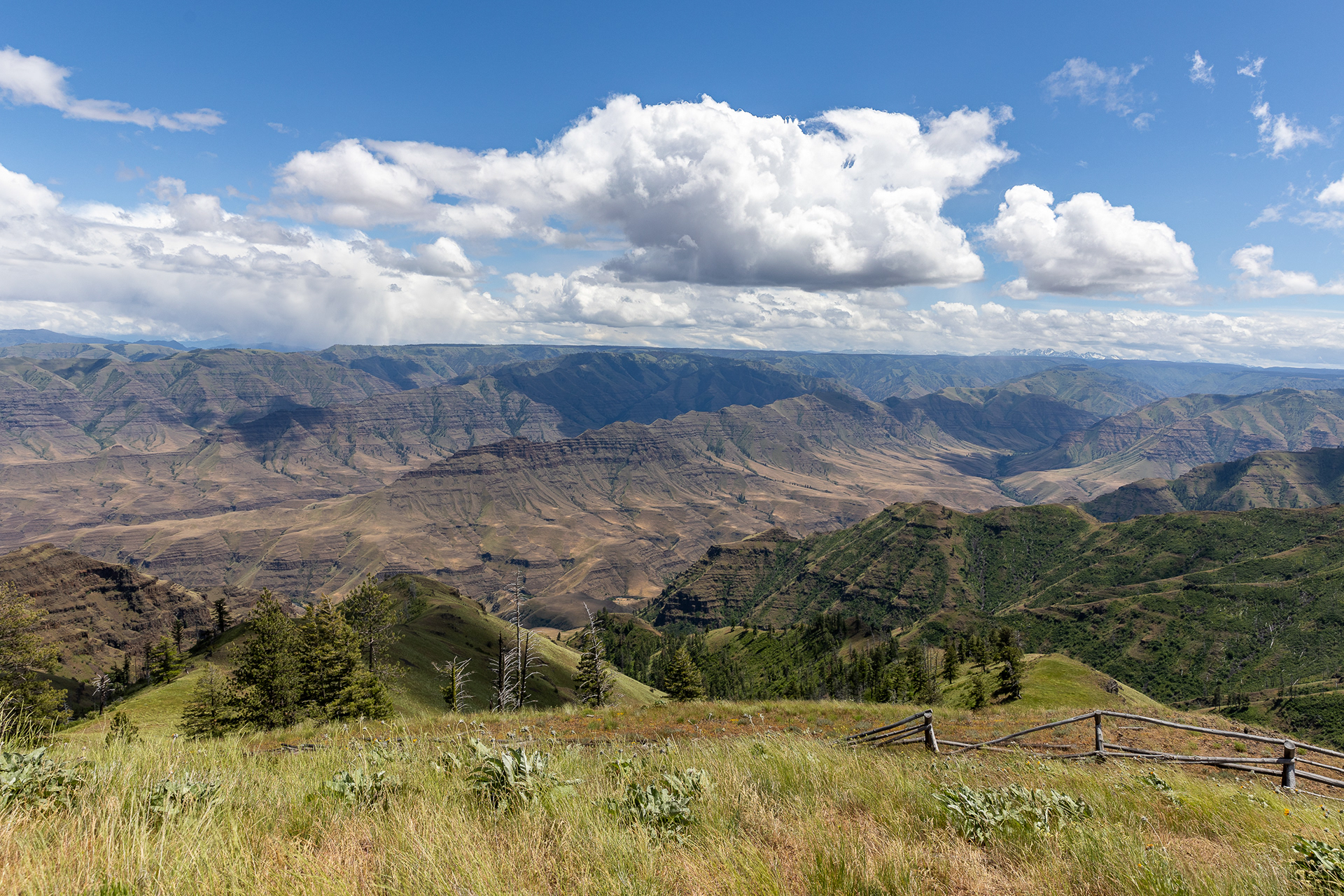 Buckhorn Viewpoint, Hells Canyon National Recreation Area