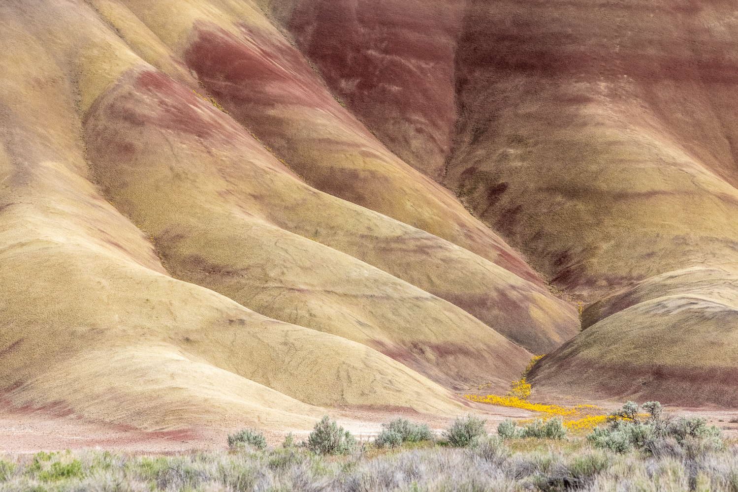 Painted Hills, John Day Fossil Beds National Monument