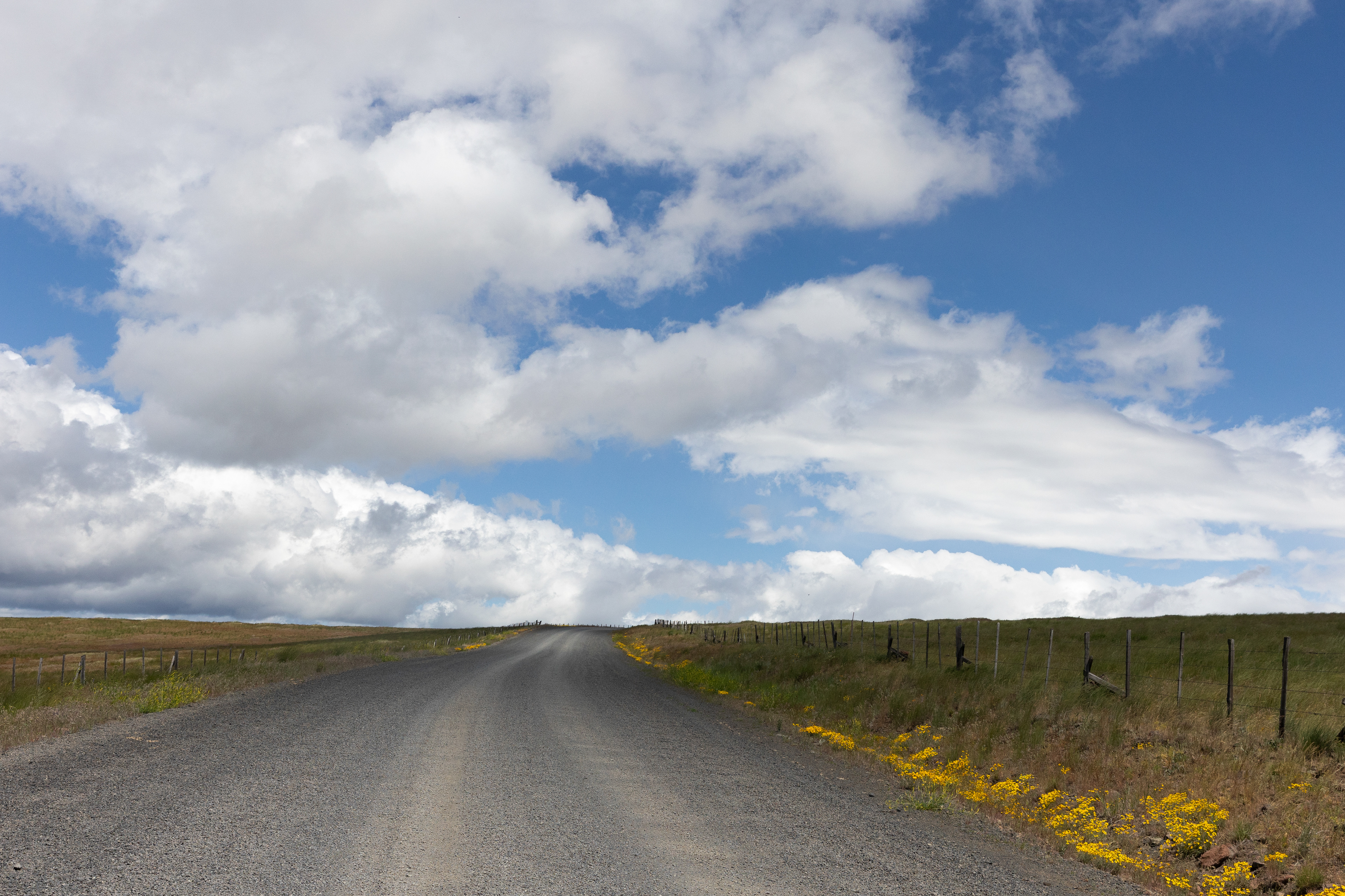Zumwalt Prairie, Hells Canyon National Recreation Area