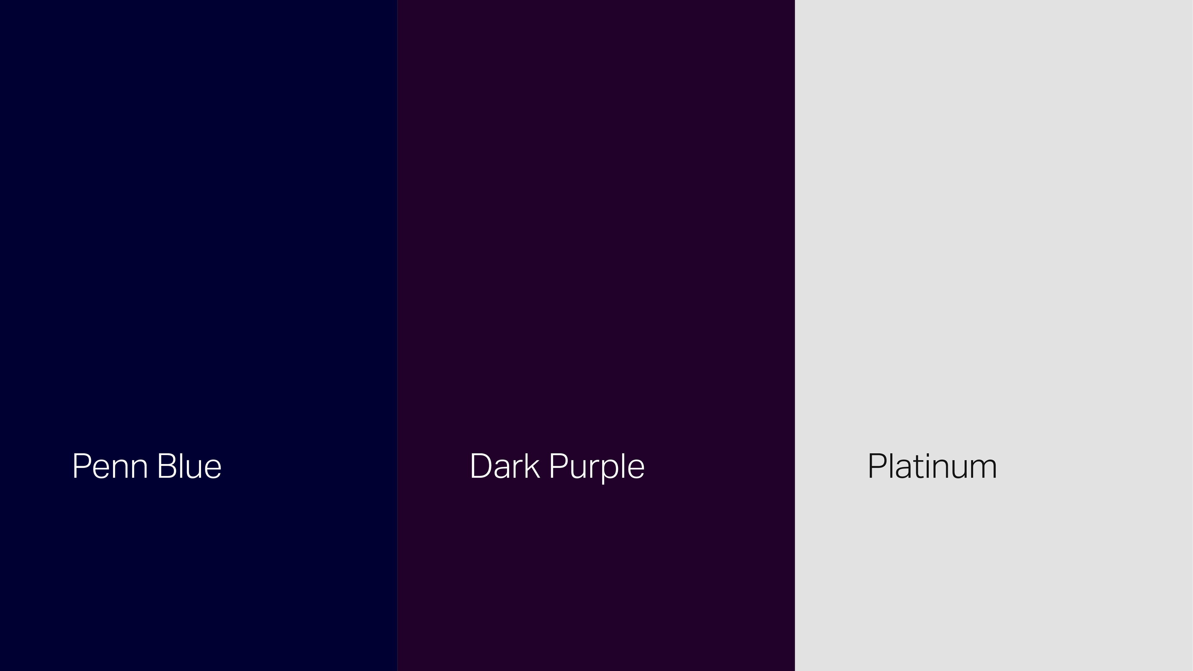 The brand’s core typographic palette, a blend of modern and dynamic fonts that reinforce Nifty's bold and authentic personality.