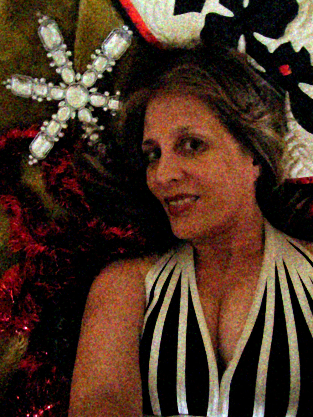 Merry Christmas 2010