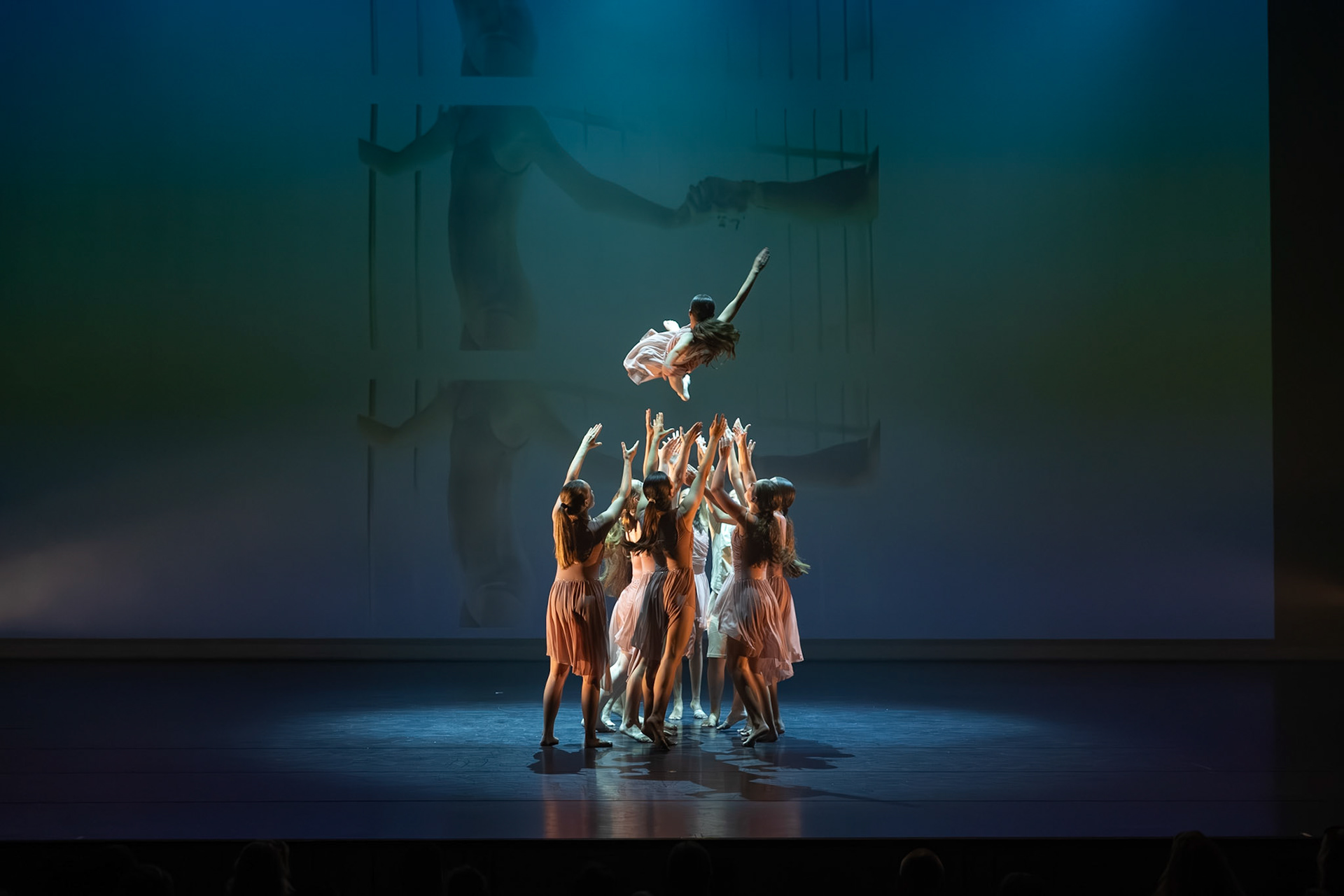 dansfoto Show 5 2025